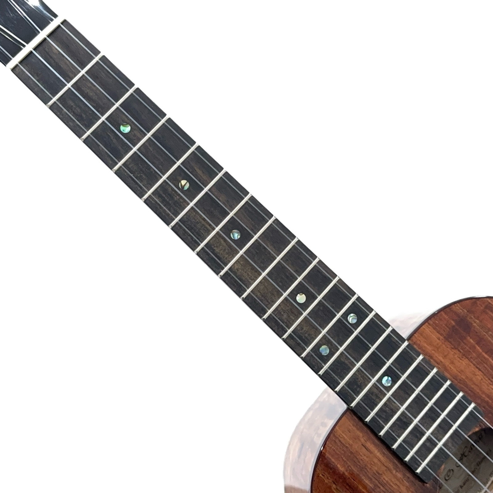 ��Kanile'a��ISLT/PG �ƥʡ�������