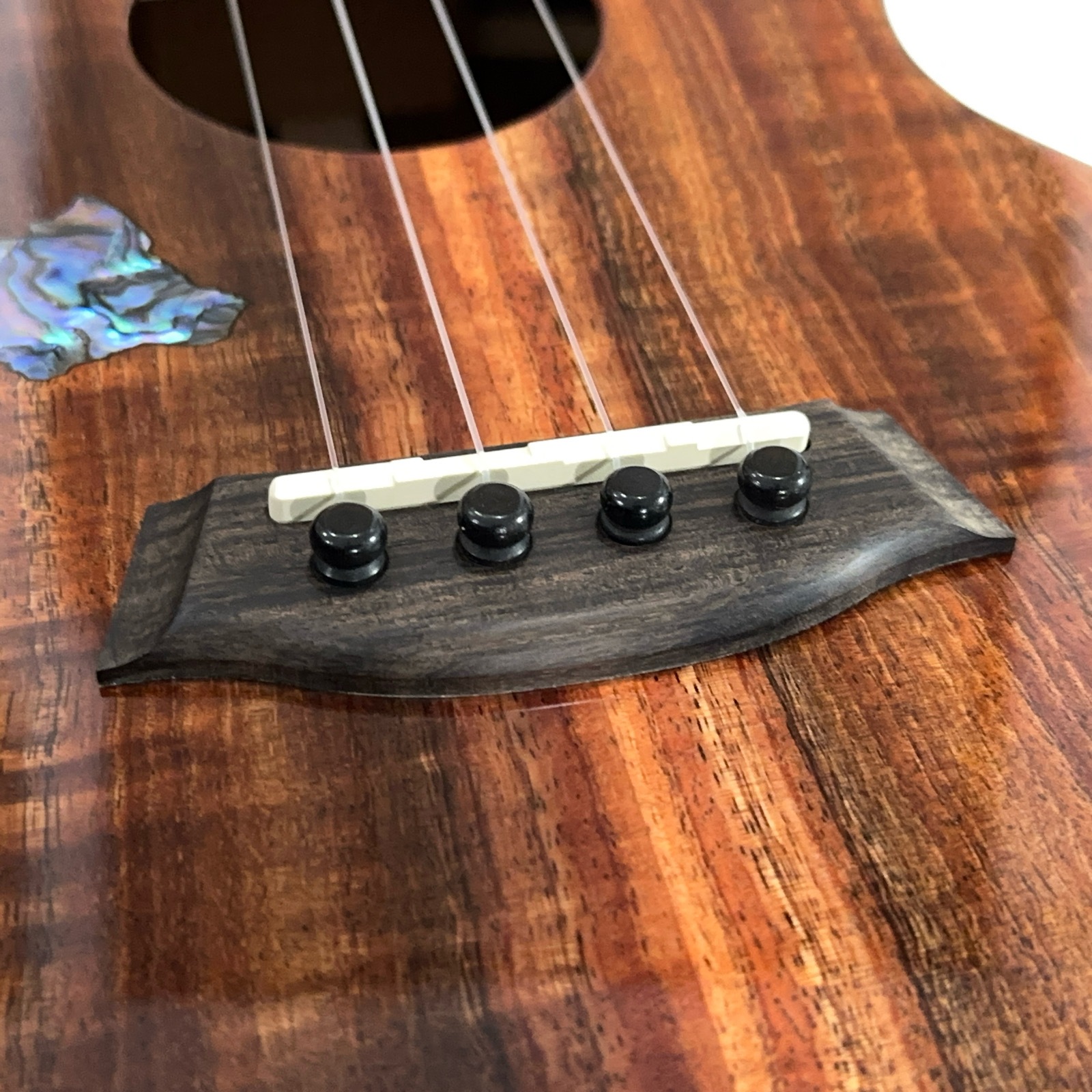 ��Kanile'a��ISLT/PG �ƥʡ�������