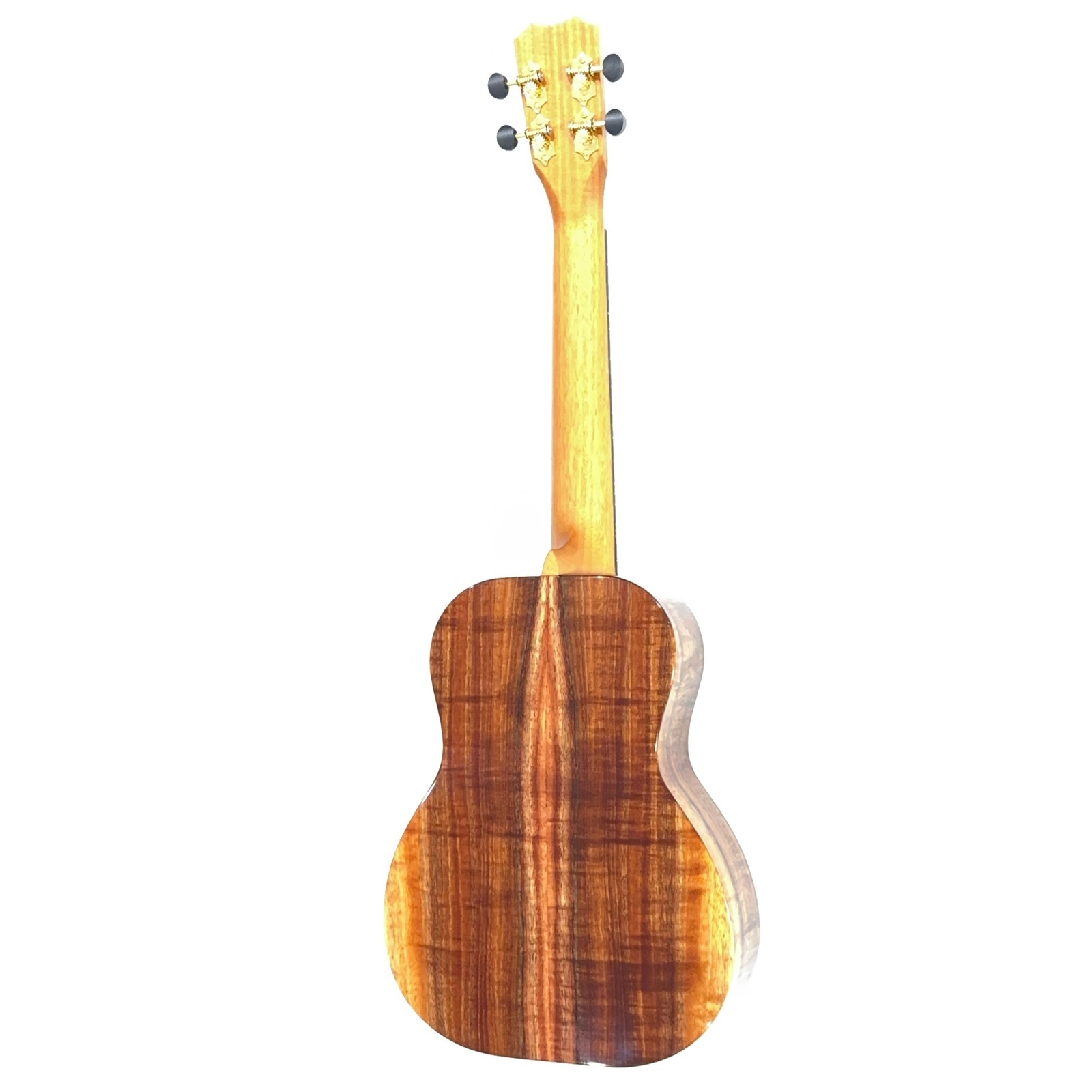 ��Kanile'a��ISLT/PG �ƥʡ�������