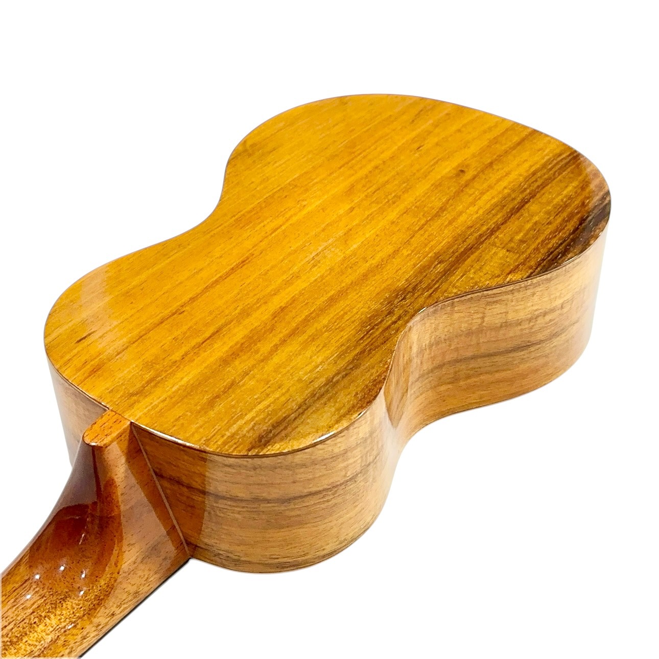 ��Famous��FS-5 ���ץ�Υ�������