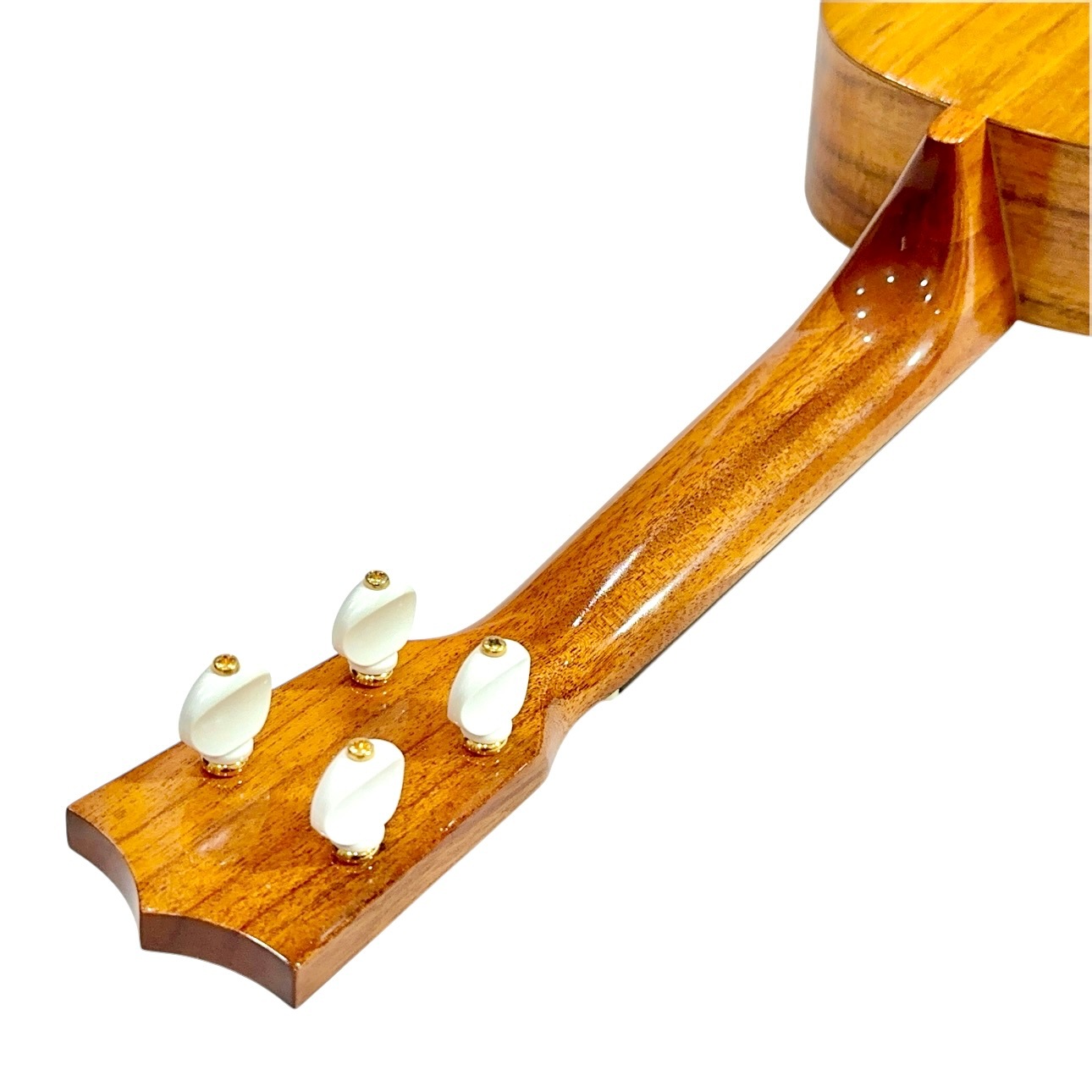 ��Famous��FS-5 ���ץ�Υ�������