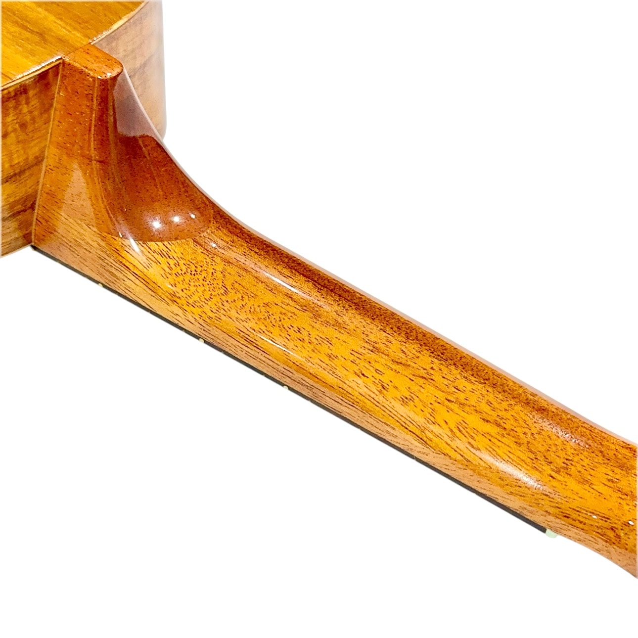 ��Famous��FS-5 ���ץ�Υ�������