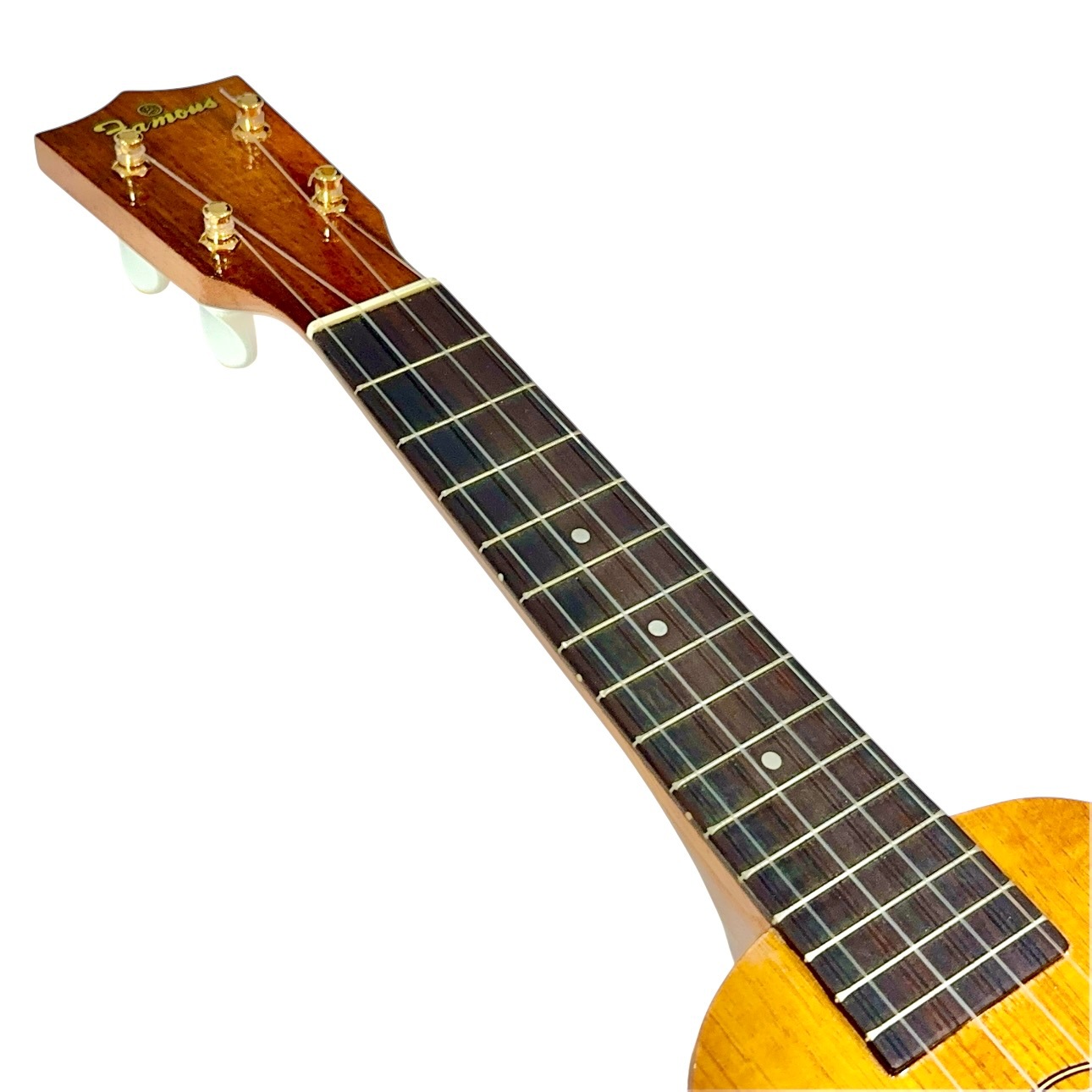 ��Famous��FS-5 ���ץ�Υ�������