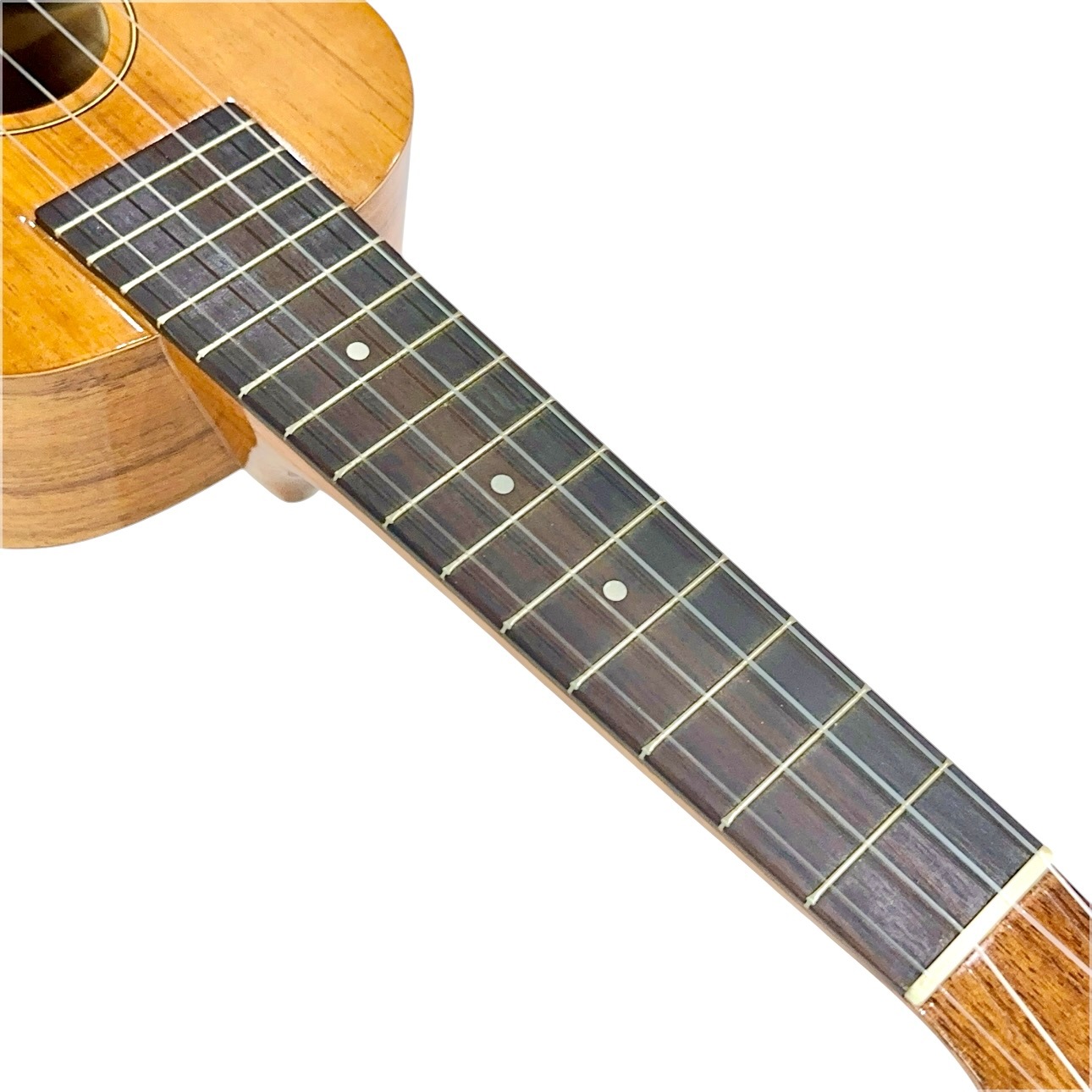 ��Famous��FS-5 ���ץ�Υ�������