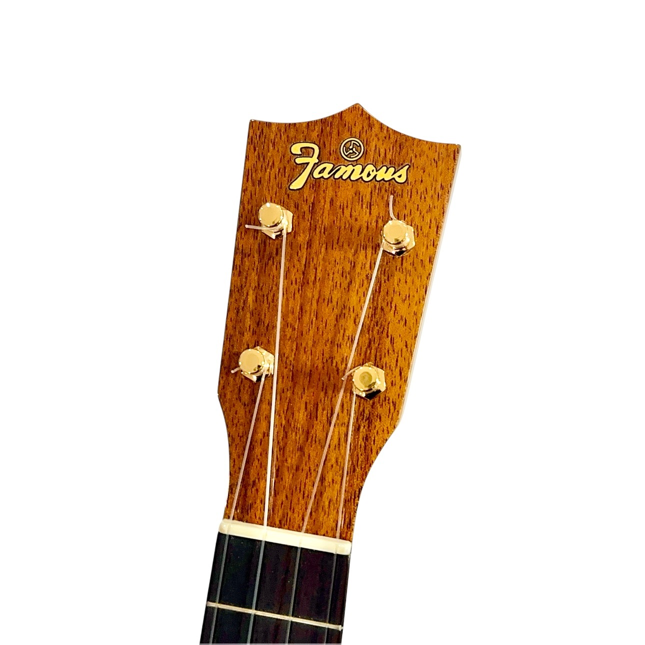 ��Famous��FS-5 ���ץ�Υ�������