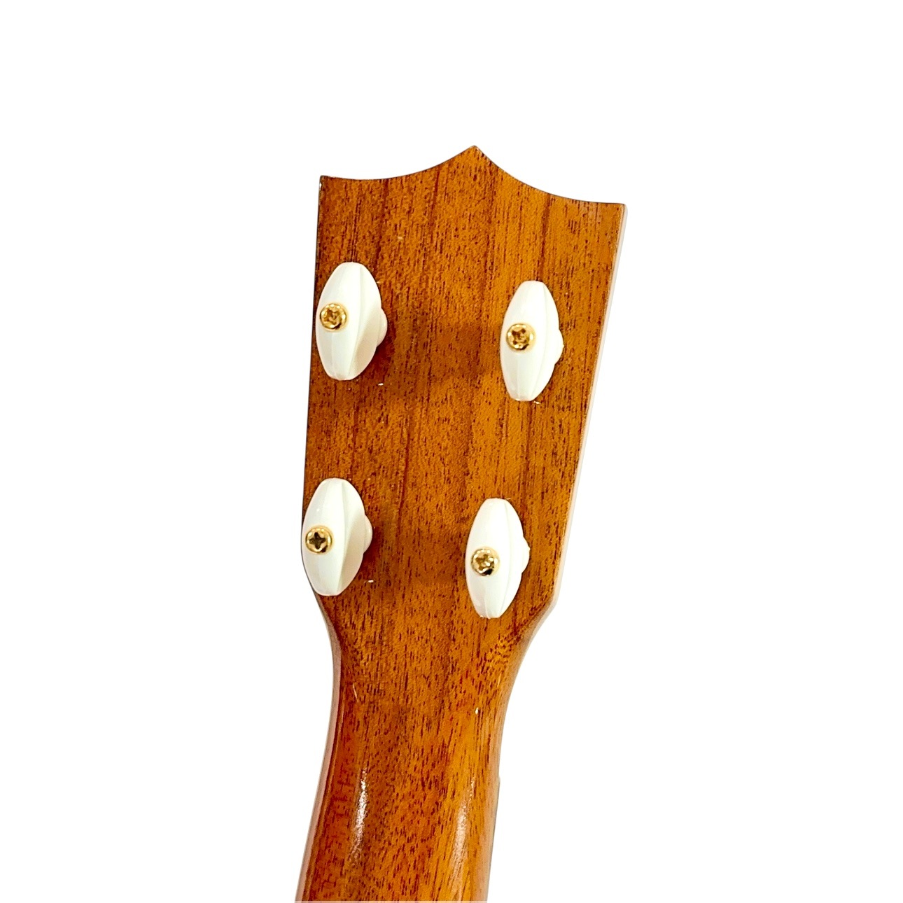 ��Famous��FS-5 ���ץ�Υ�������