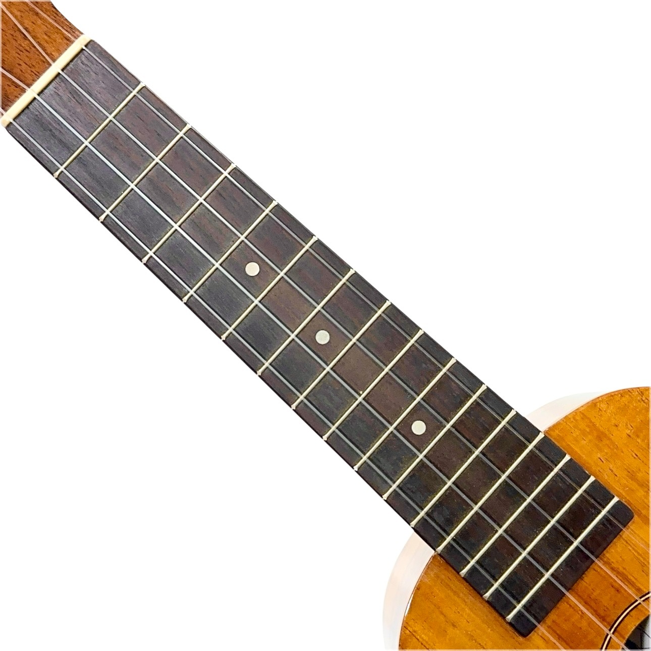 ��Famous��FS-5 ���ץ�Υ�������