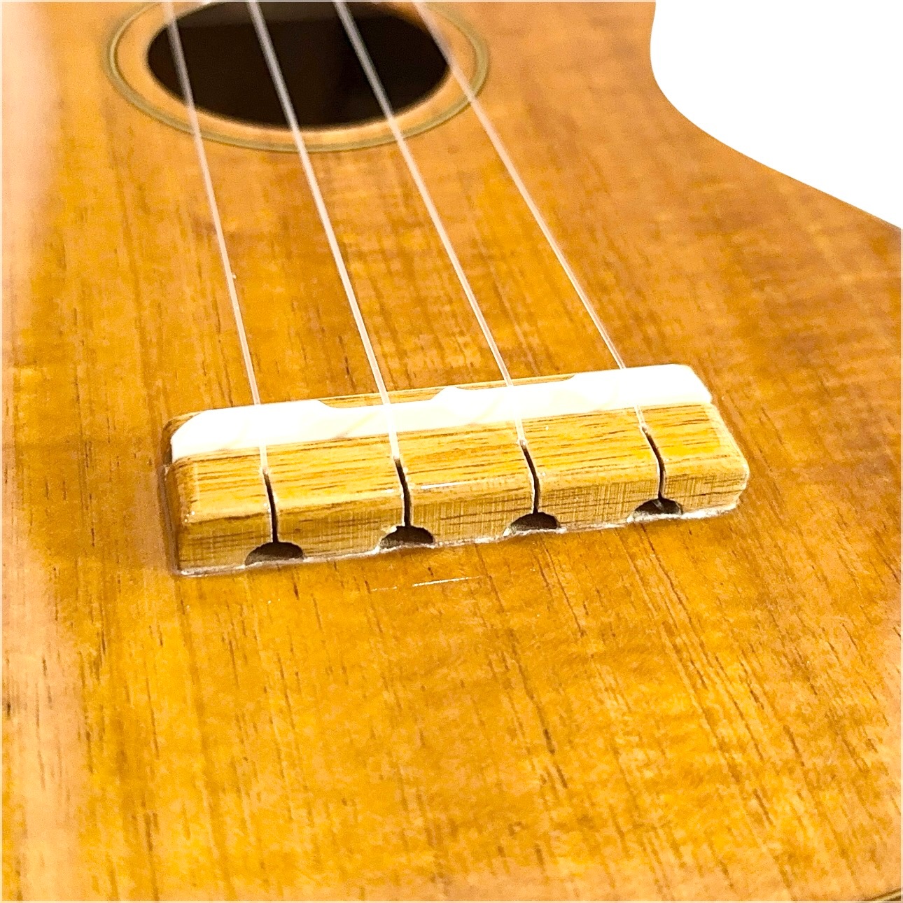 ��Famous��FS-5 ���ץ�Υ�������