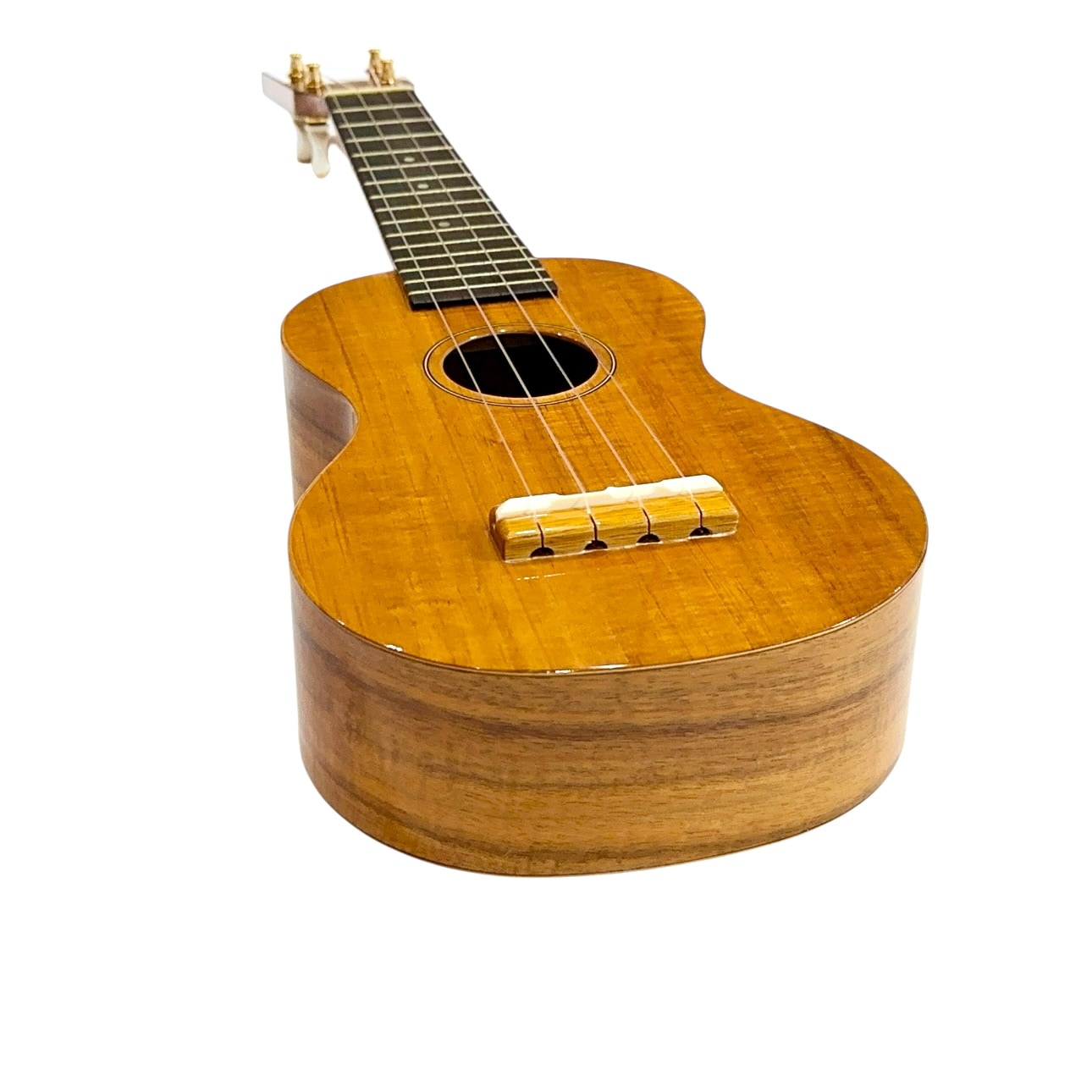 ��Famous��FS-5 ���ץ�Υ�������