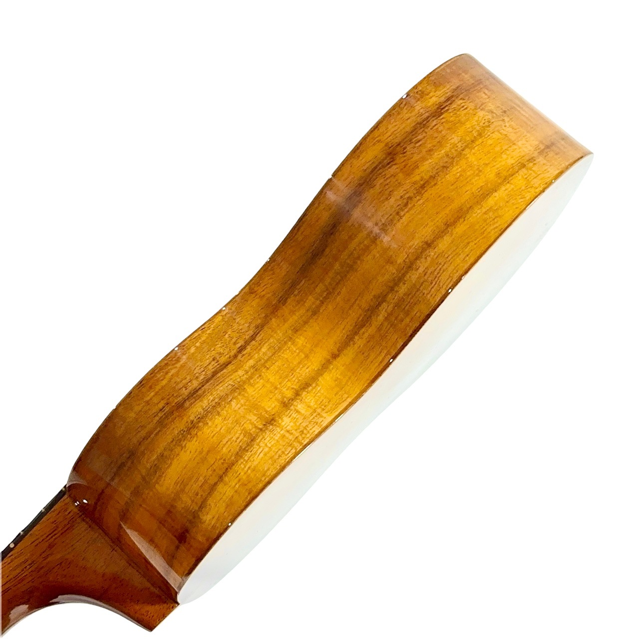 ��Famous��FS-5 ���ץ�Υ�������