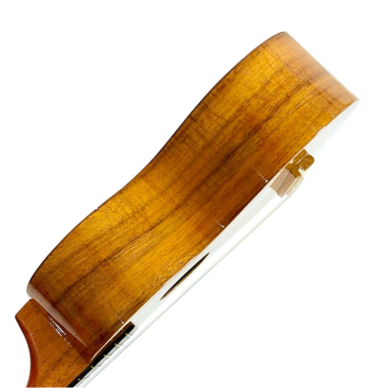 ��Famous��FS-5 ���ץ�Υ�������