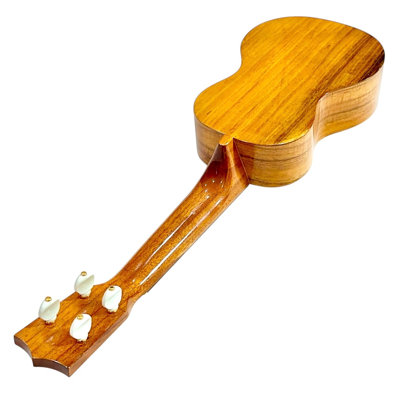 ��Famous��FS-5 ���ץ�Υ�������