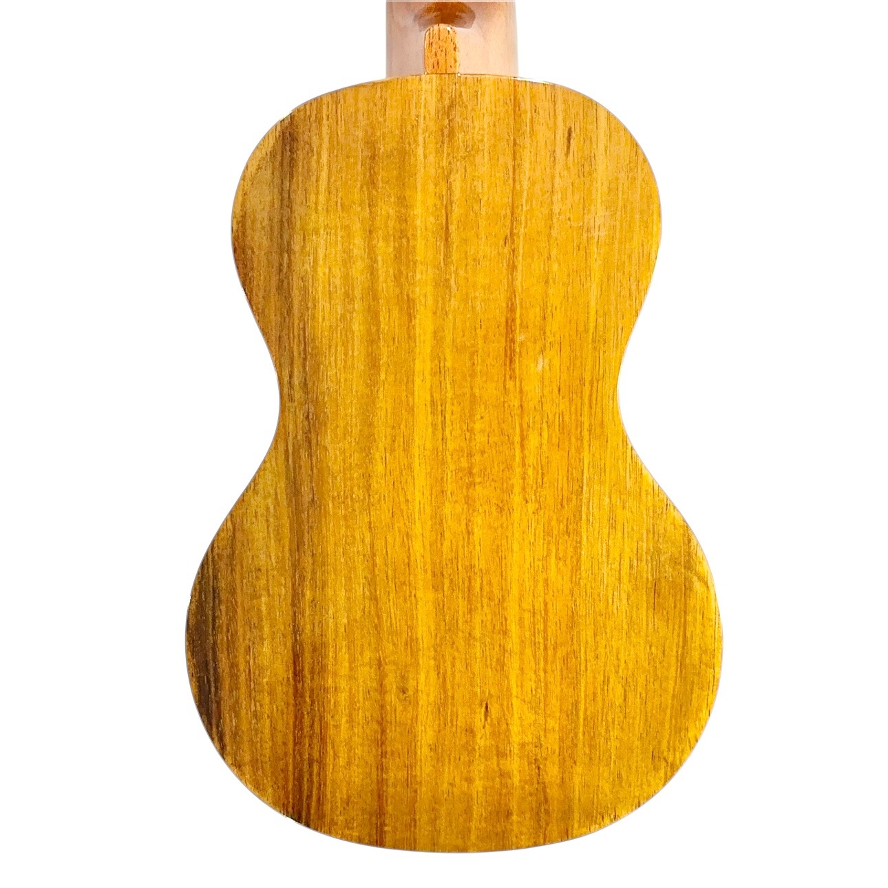 ��Famous��FS-5 ���ץ�Υ�������