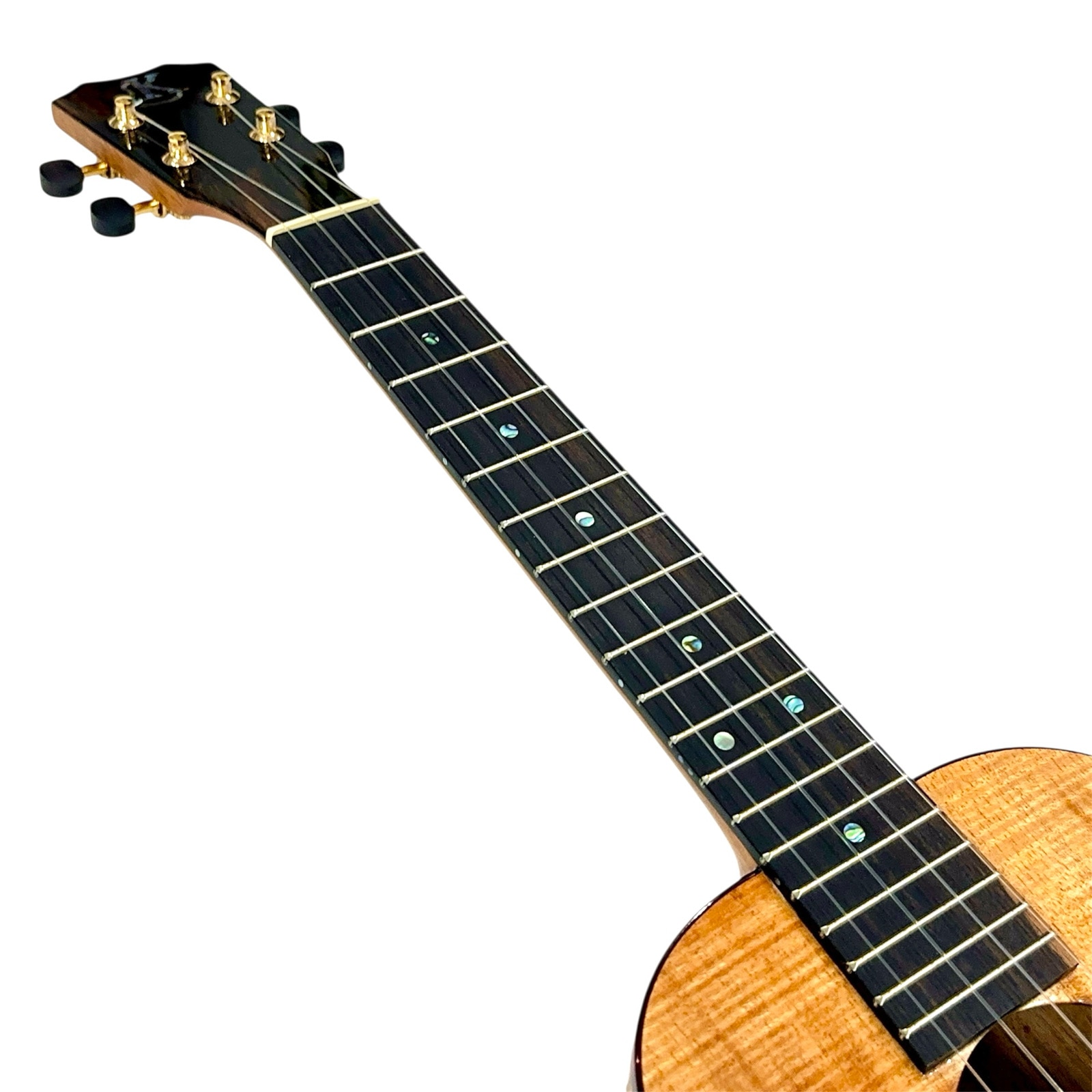 ��Kanile'a��HNST/MG �ƥʡ�������