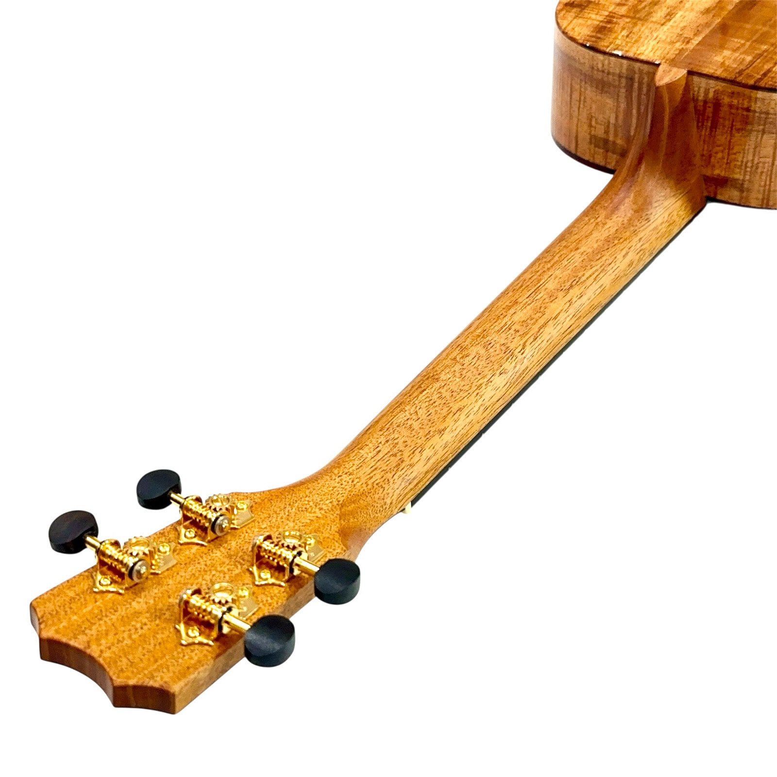 ��Kanile'a��HNST/MG �ƥʡ�������