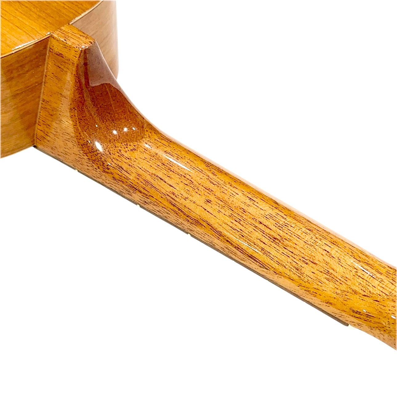 ��Famous��FS-11G ���ץ�Υ�����