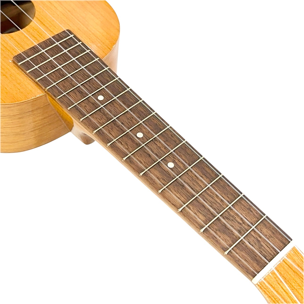 ��Famous��FS-11G ���ץ�Υ�����