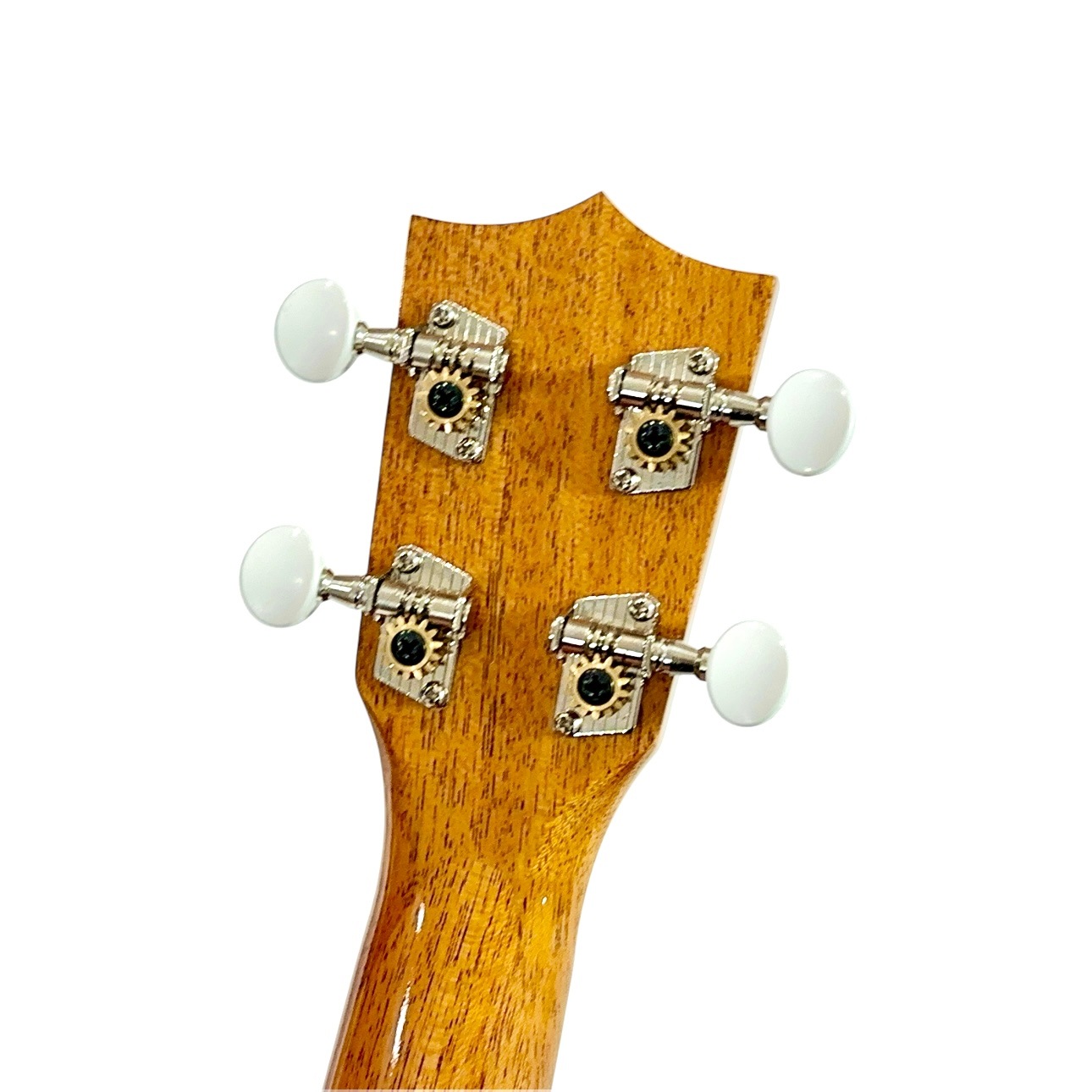 ��Famous��FS-11G ���ץ�Υ�����