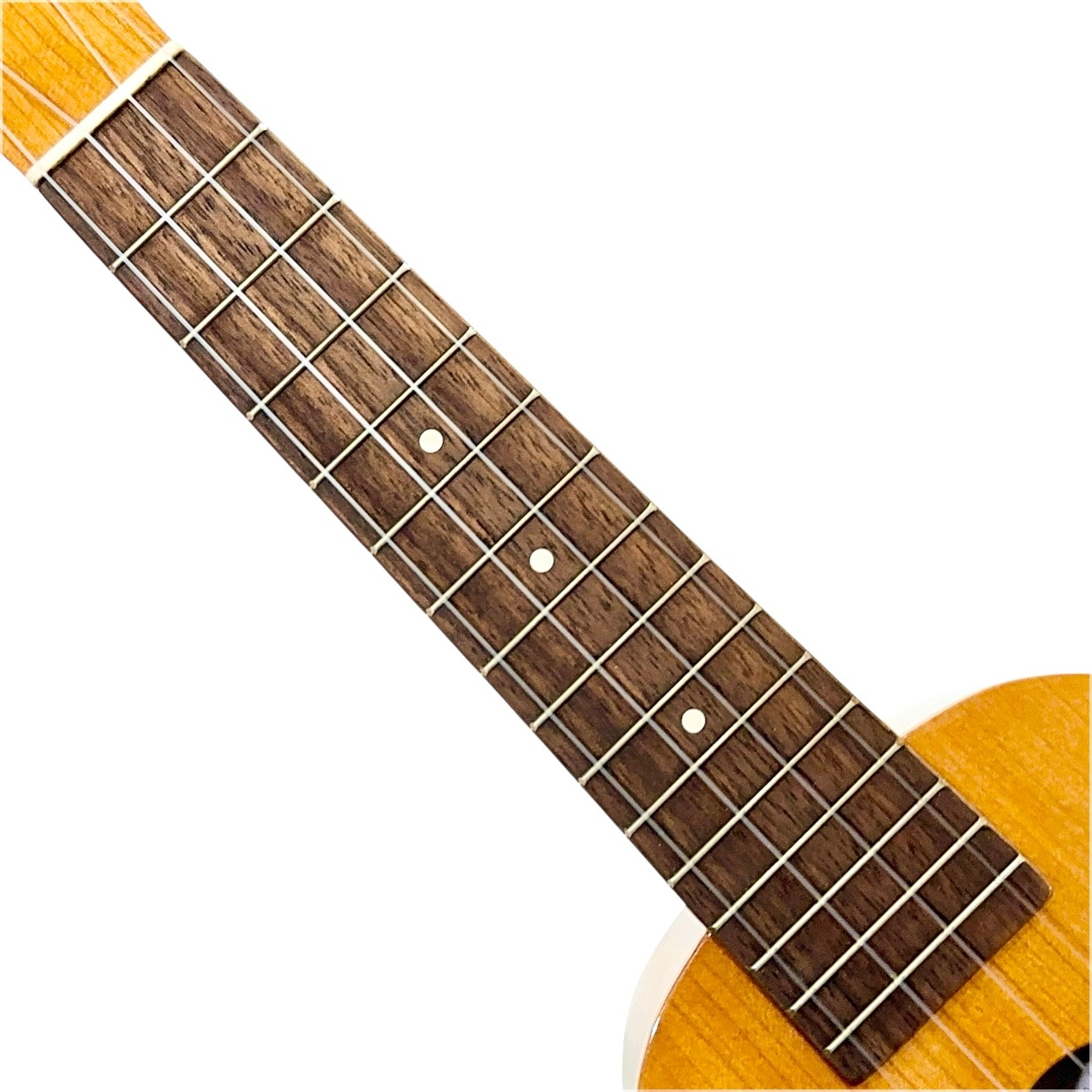 ��Famous��FS-11G ���ץ�Υ�����