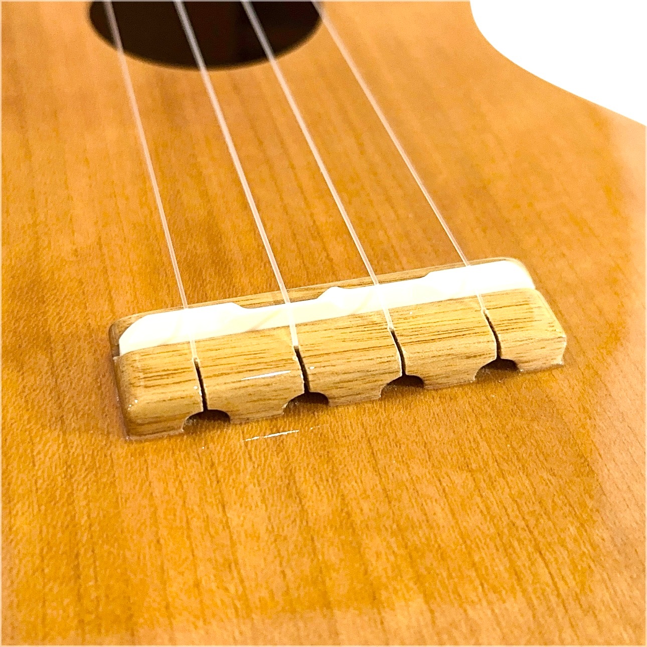 ��Famous��FS-11G ���ץ�Υ�����