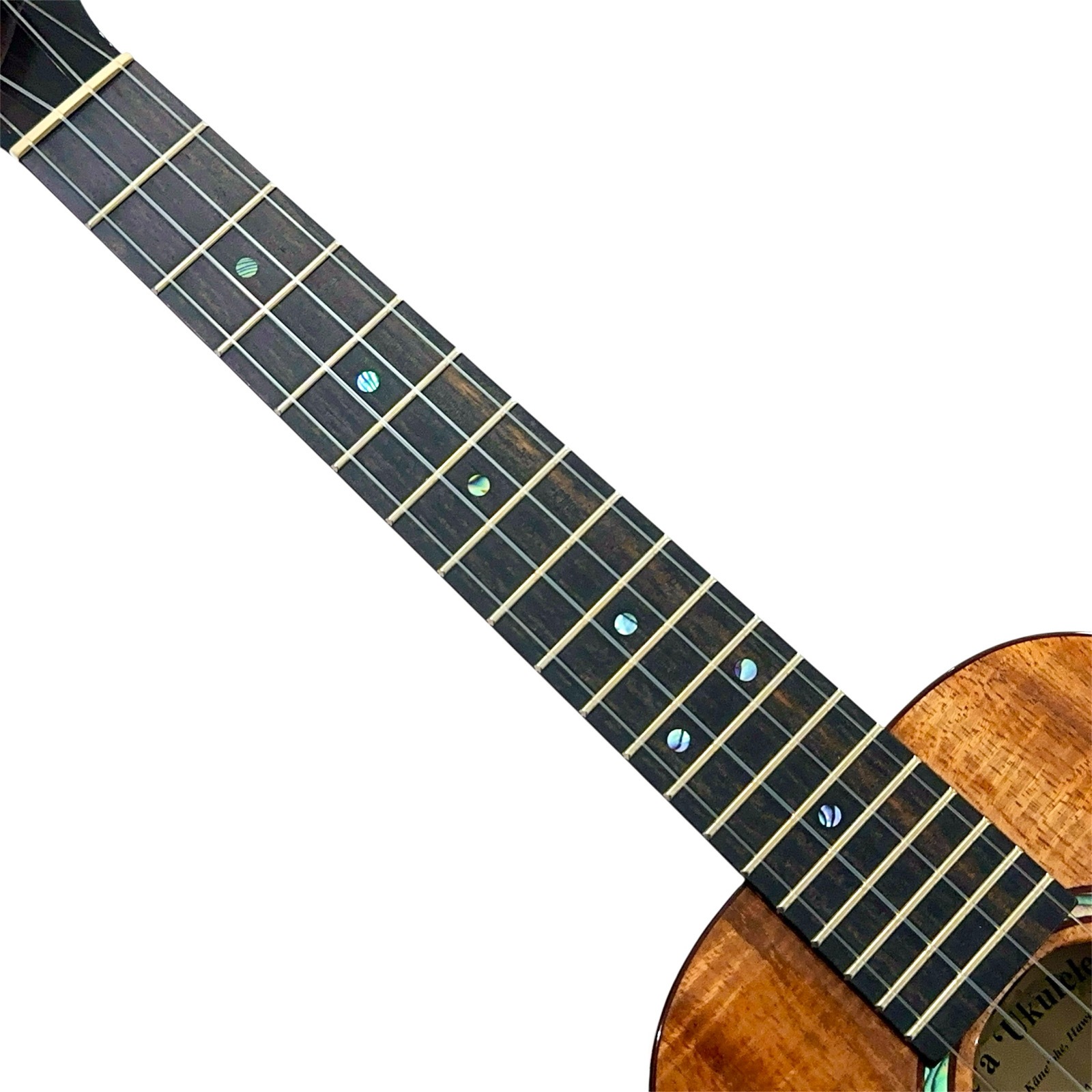 ��Kanile'a��KPAT/MG �ƥʡ�������