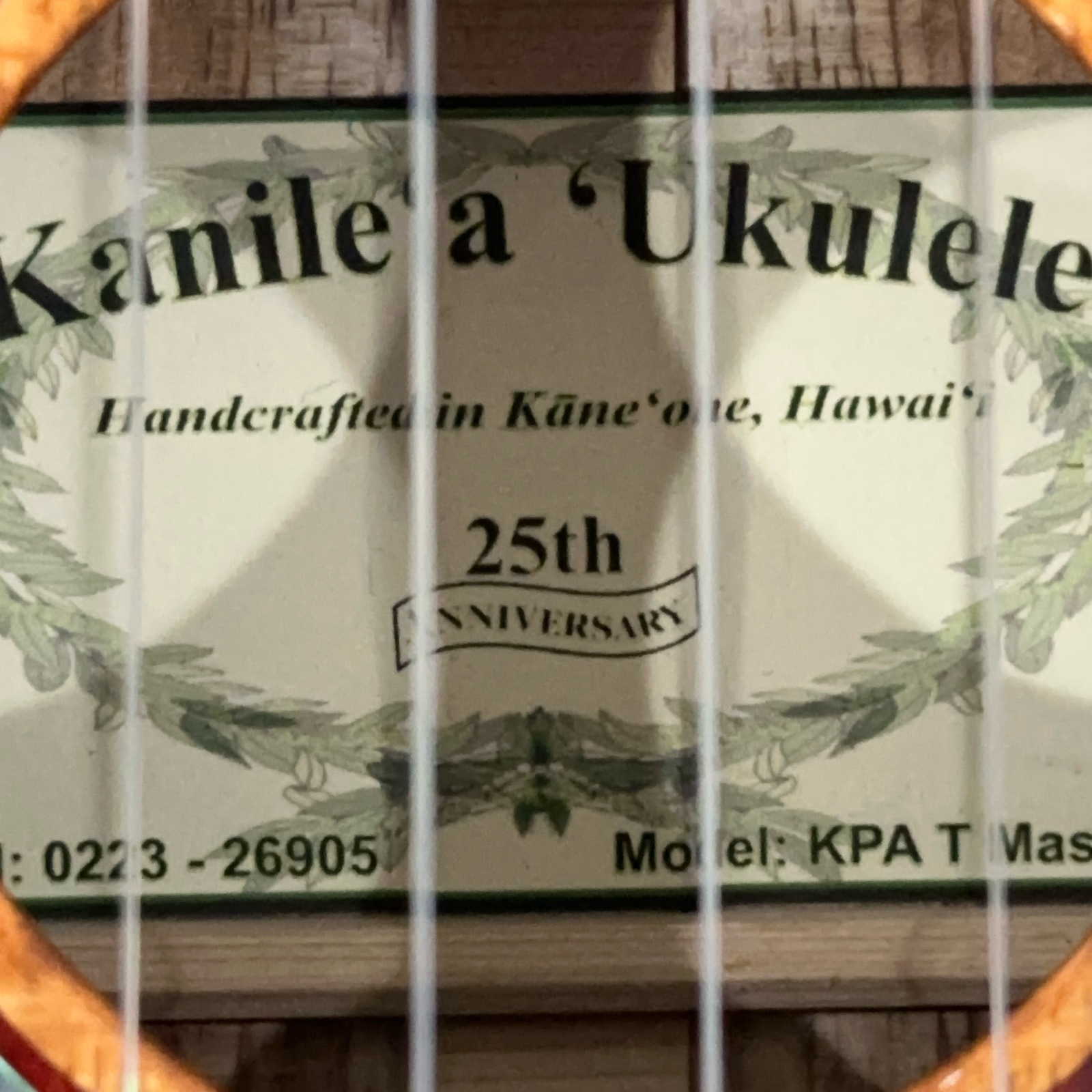 ��Kanile'a��KPAT/MG �ƥʡ�������