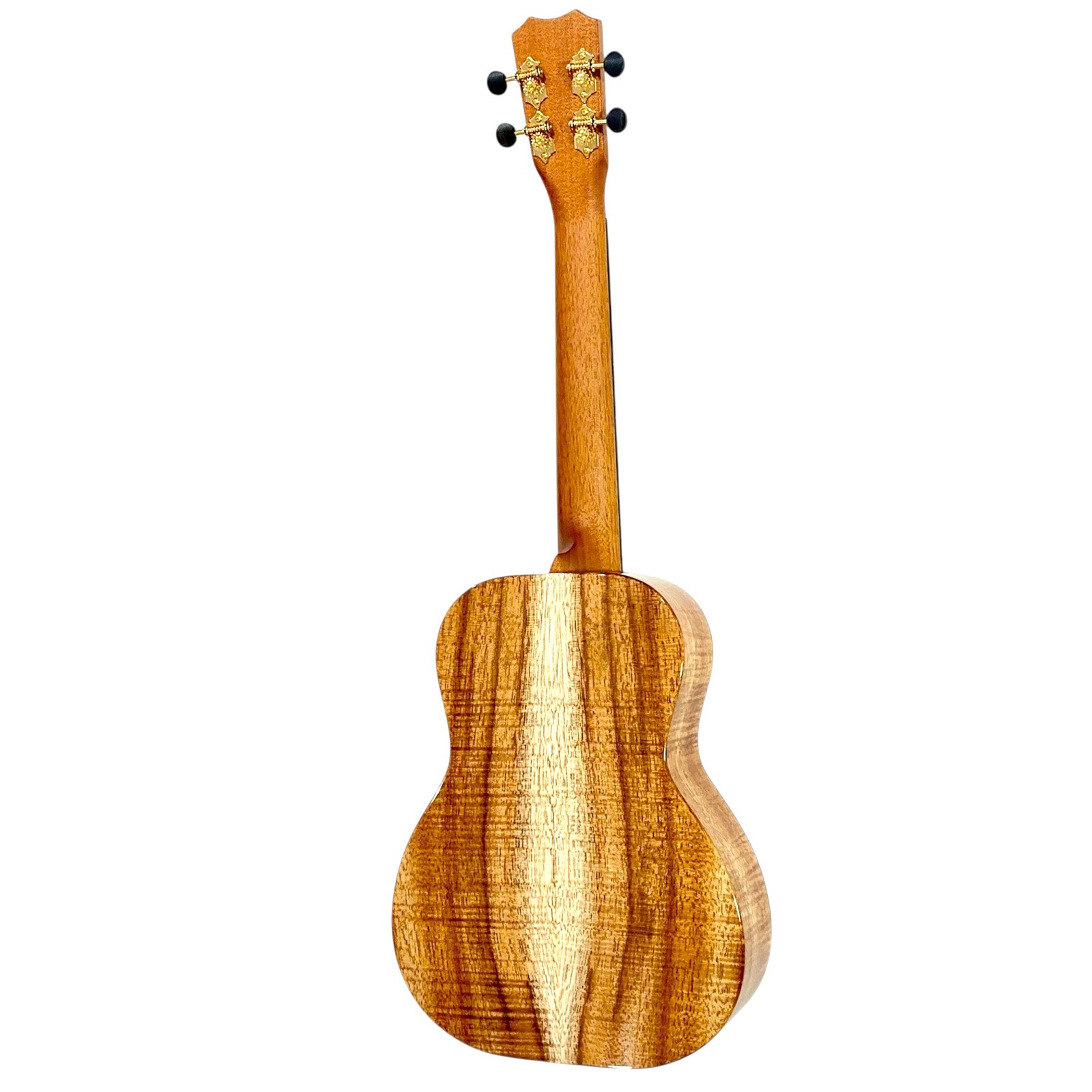 ��Kanile'a��KPAT/MG �ƥʡ�������