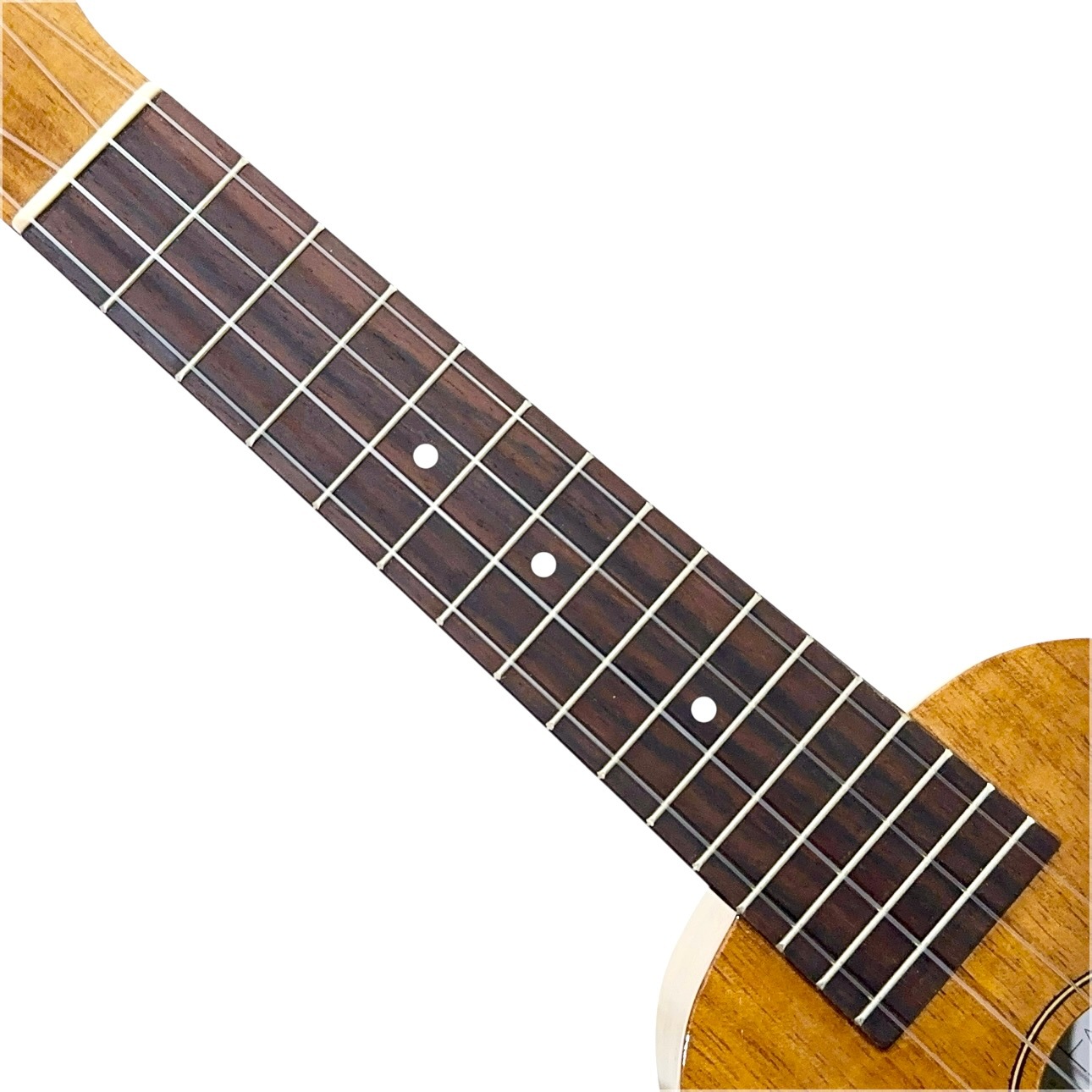 ��Famous��FS-5G ���ץ�Υ�����