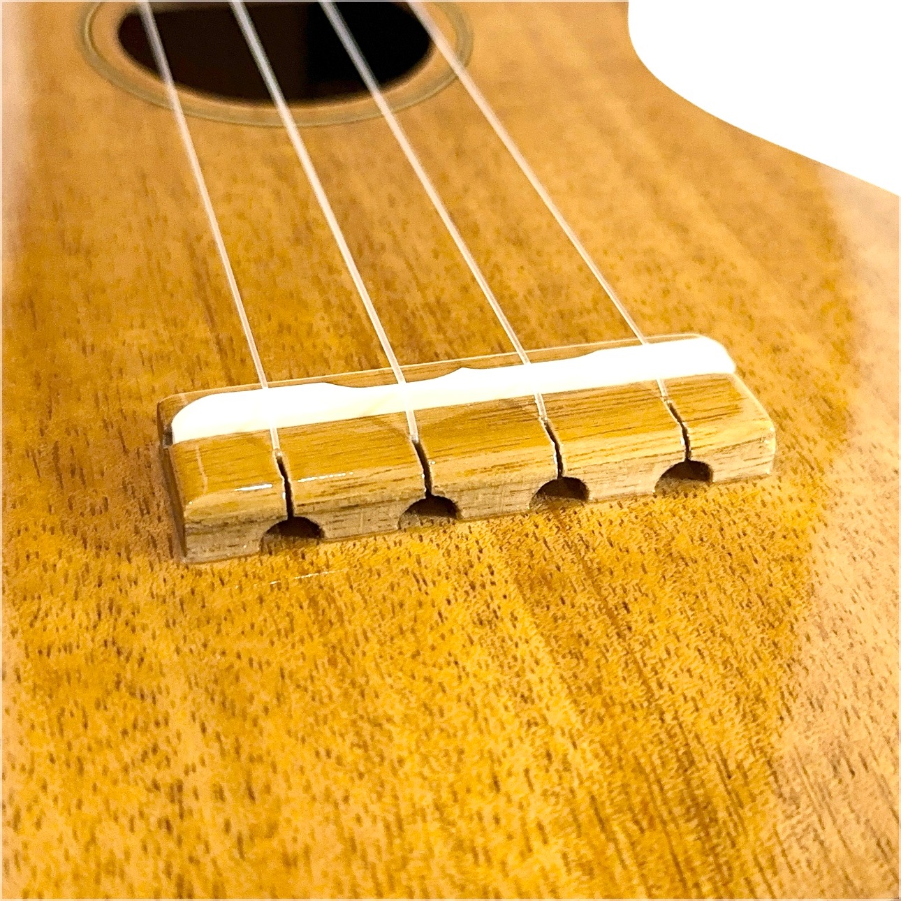 ��Famous��FS-5G ���ץ�Υ�����