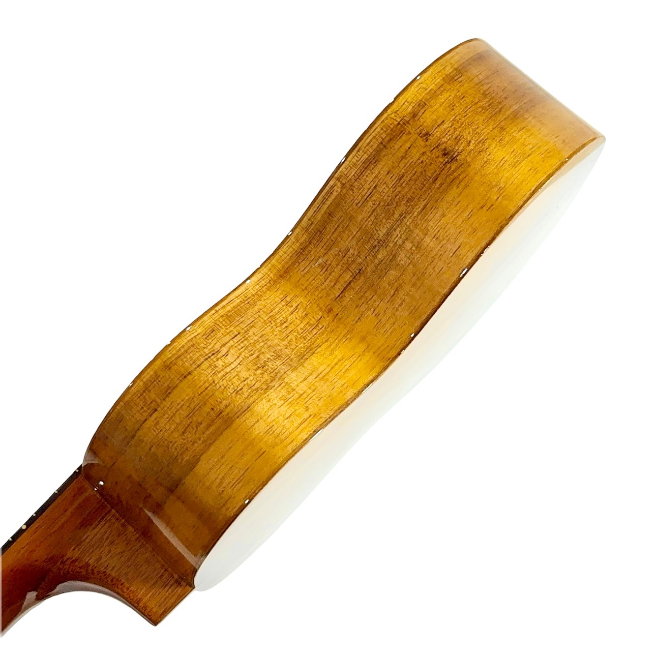 ��Famous��FS-5G ���ץ�Υ�����