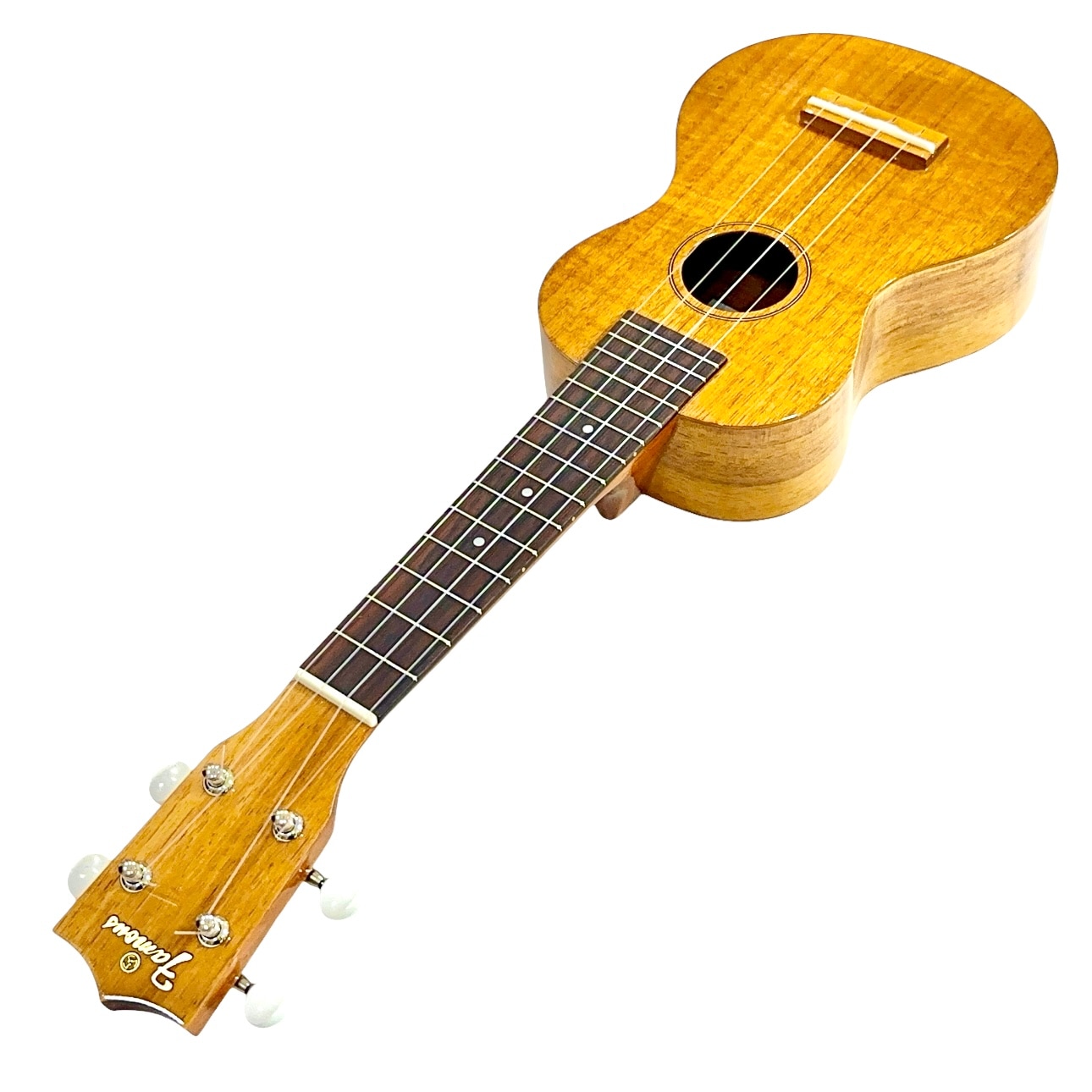 ��Famous��FS-5G ���ץ�Υ�����