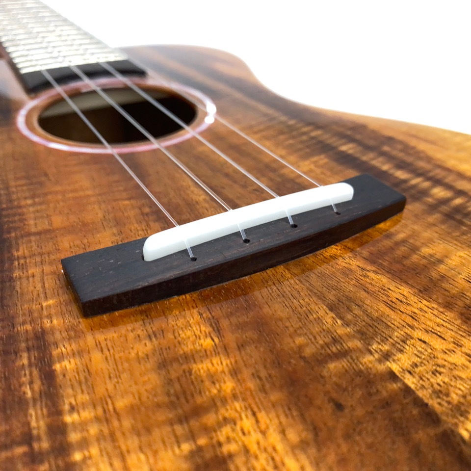 Matsui UkuleleLaughing C #260 󥵡ȥ