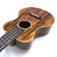 Matsui UkuleleLaughing C #260 󥵡ȥ