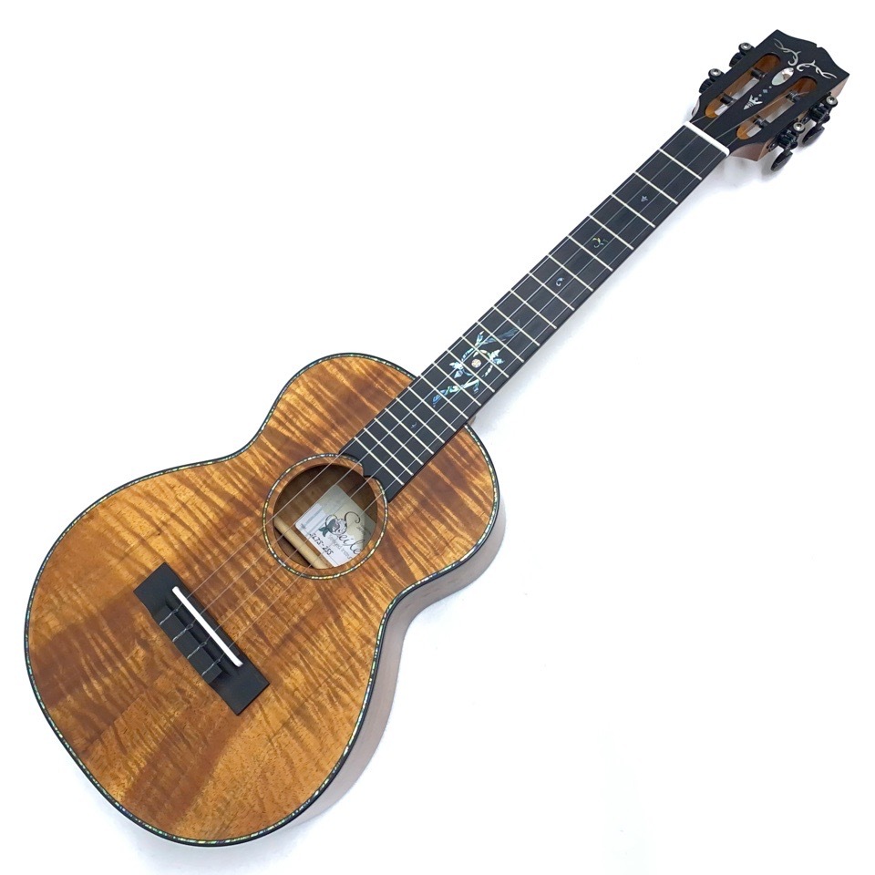 SeilenSLTS-255 #1897 ƥʡ