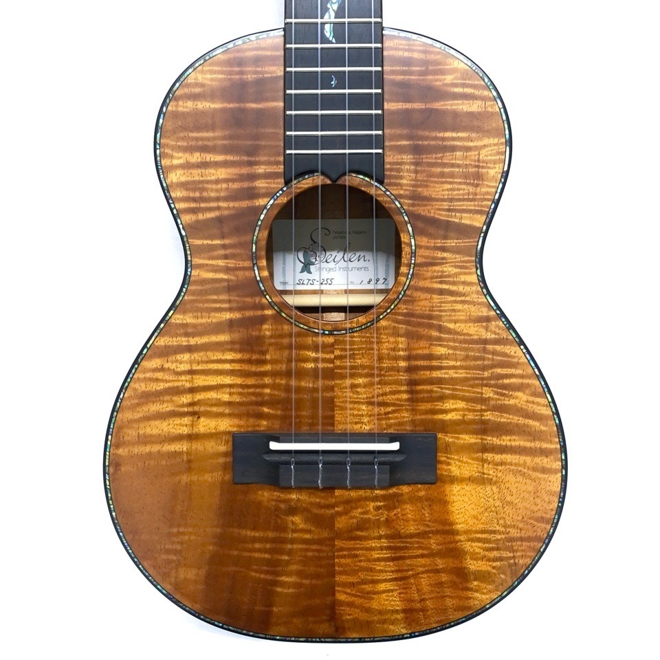 SeilenSLTS-255 #1897 ƥʡ