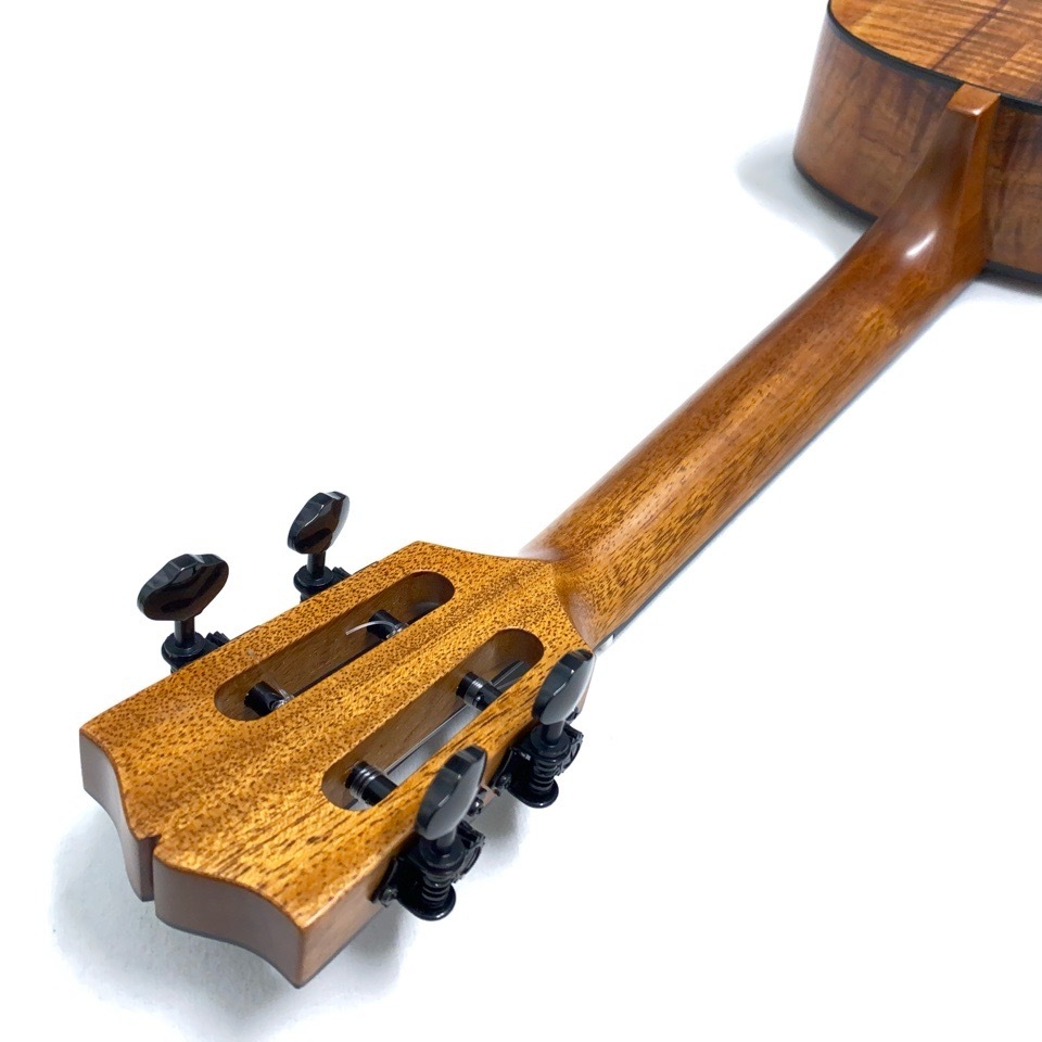 SeilenSLTS-255 #1897 ƥʡ