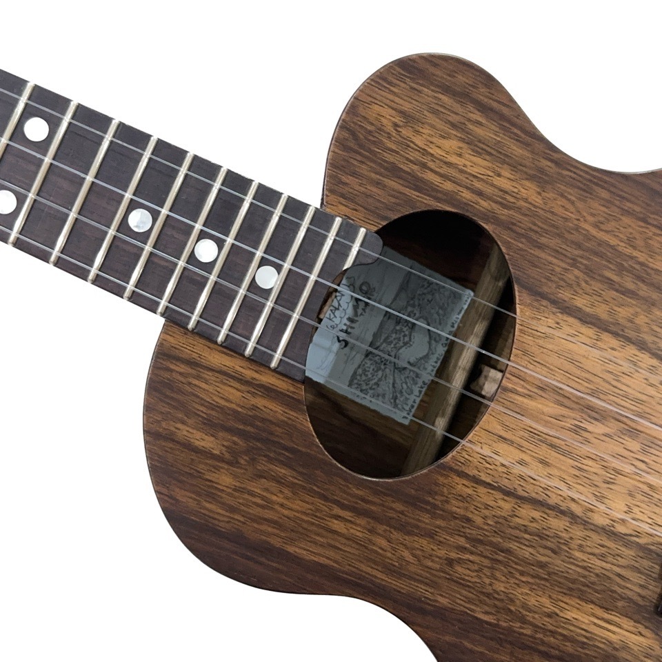 Shimo GuitarsNew Surf 25 #U920 ƥʡ