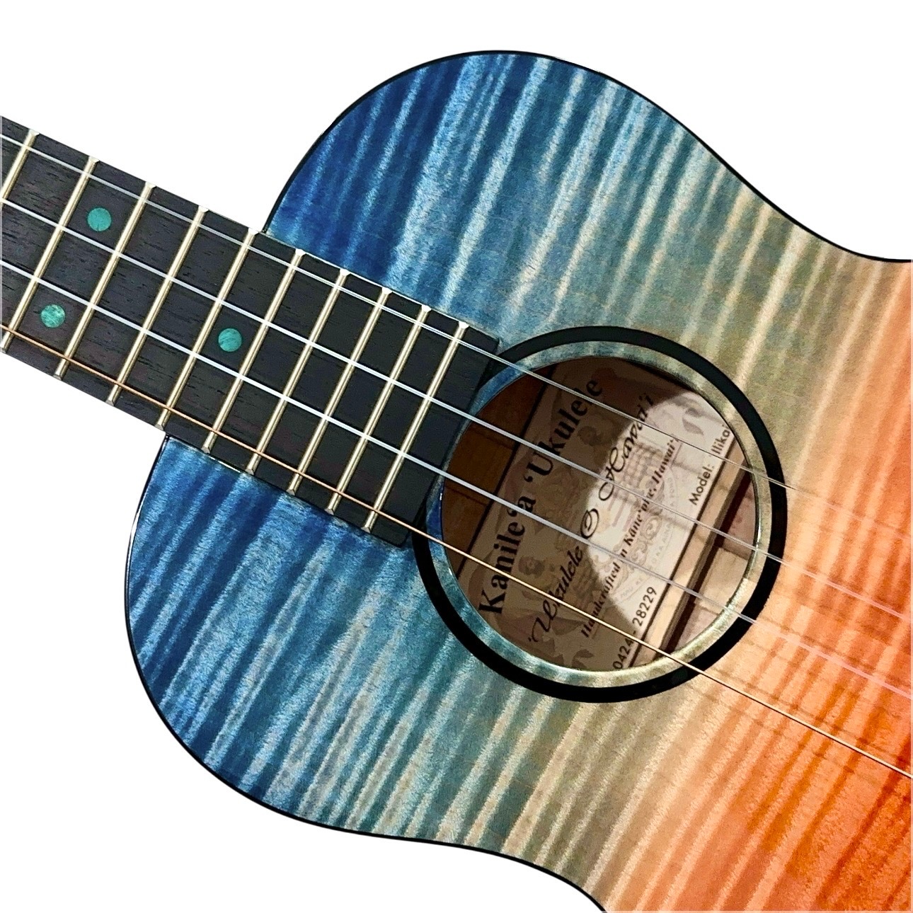 ��Kanile'a��ILIKAI/T �ƥʡ�������