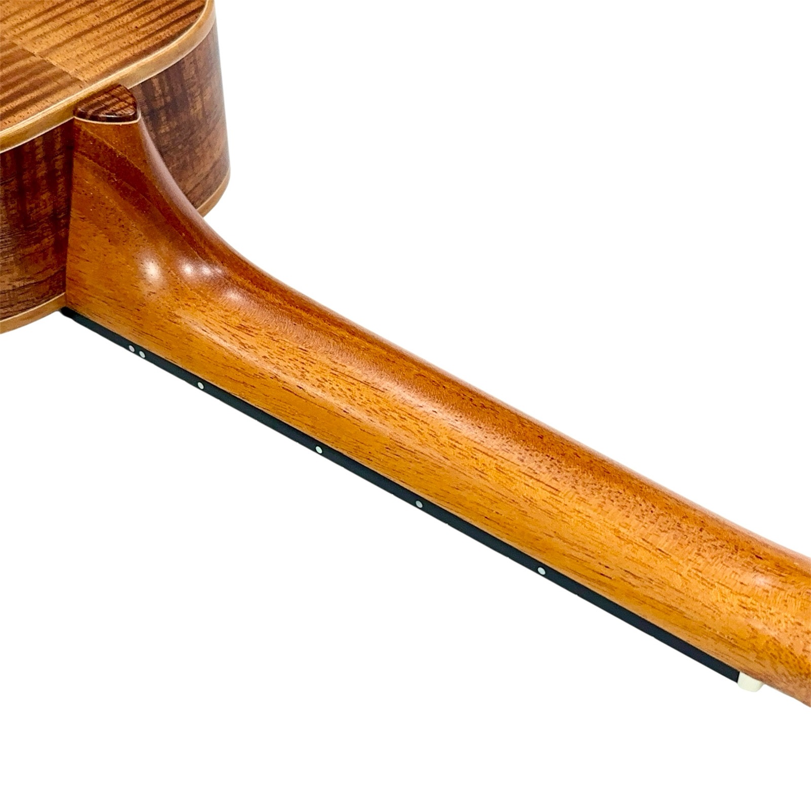 ��TODA Guitars��VC ALL KOA No.778 ���󥵡��ȥ�����