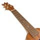 ��Famous��FS-2PG ���ץ�Υ�����