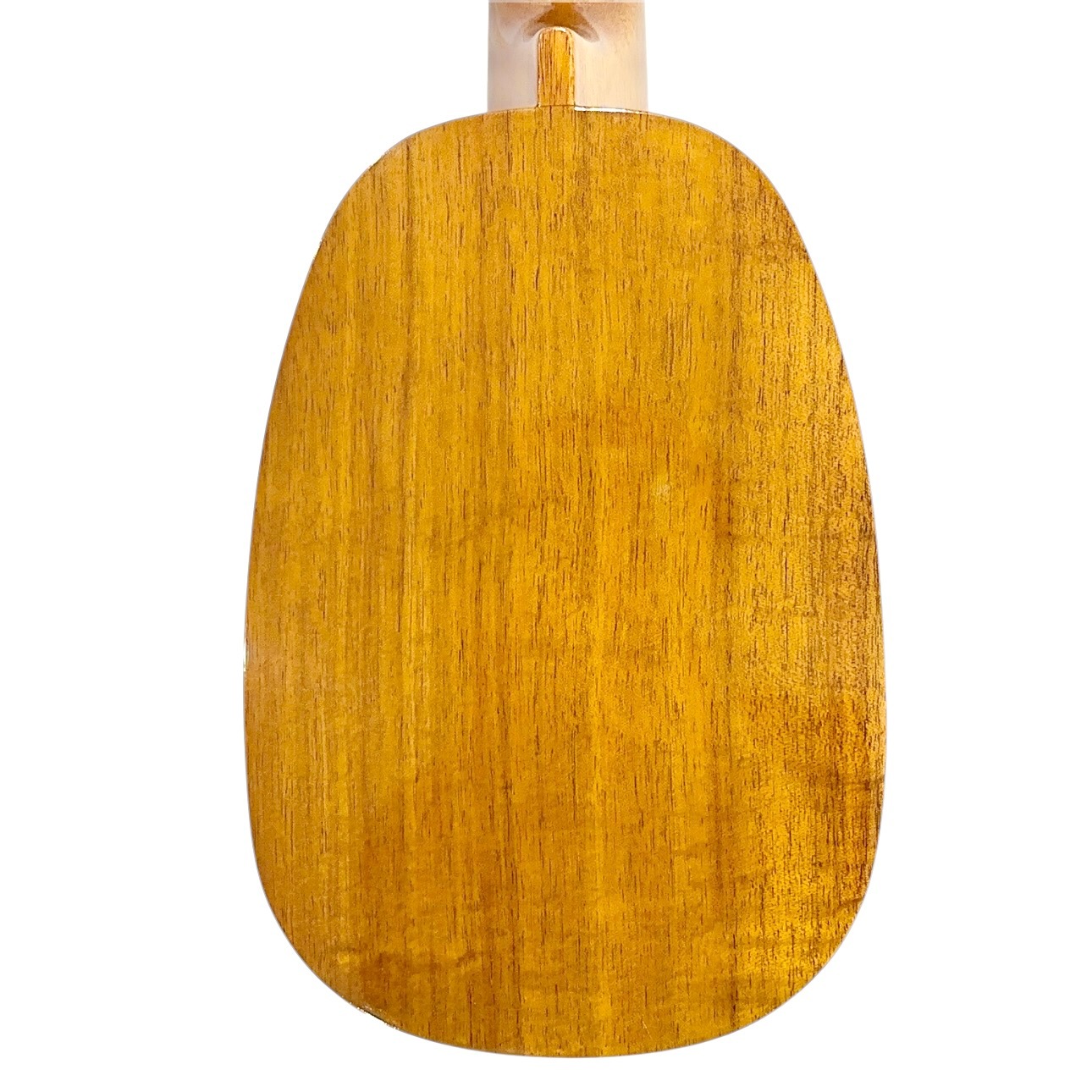 ��Famous��FS-4PG ���ץ�Υ�����