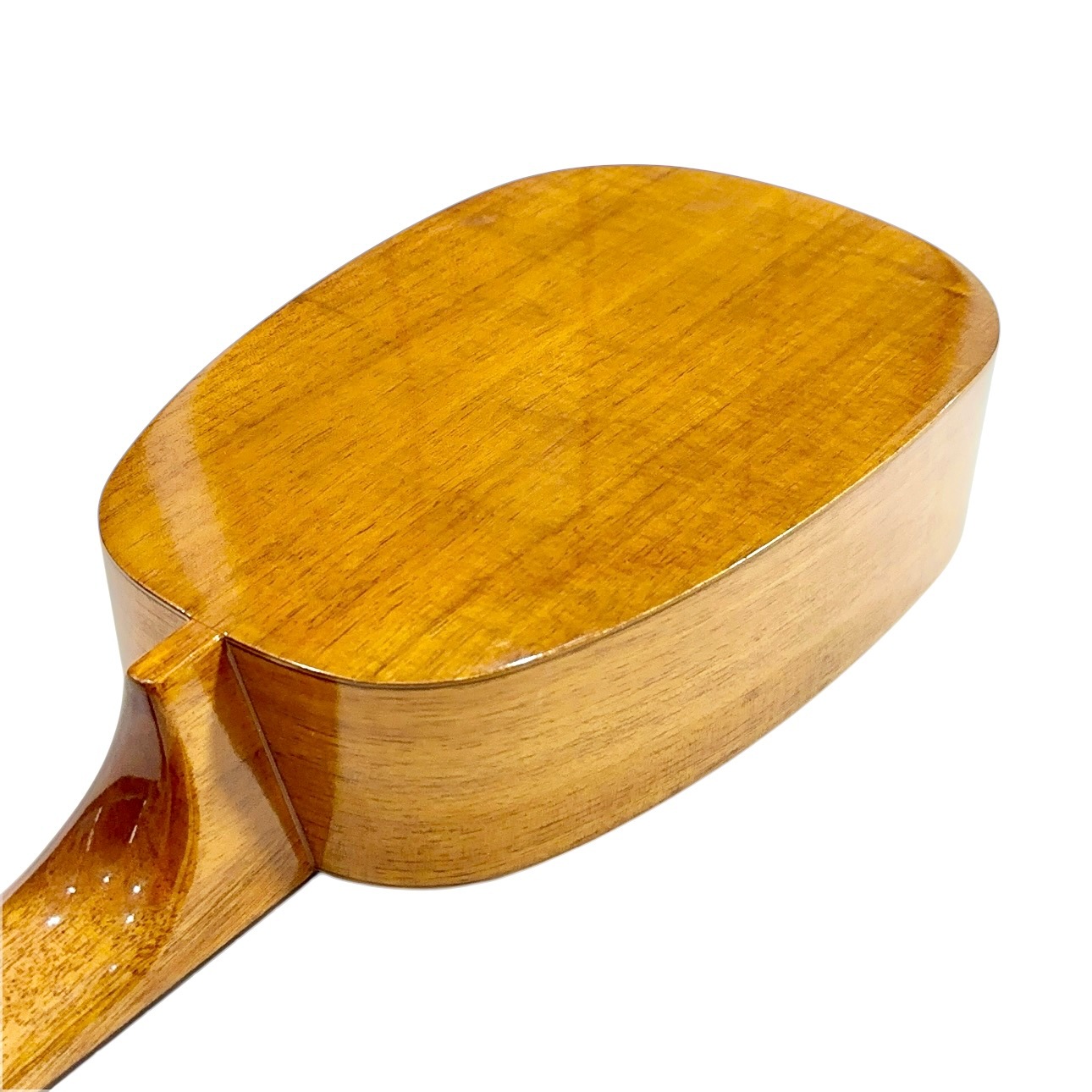 ��Famous��FS-4PG ���ץ�Υ�����