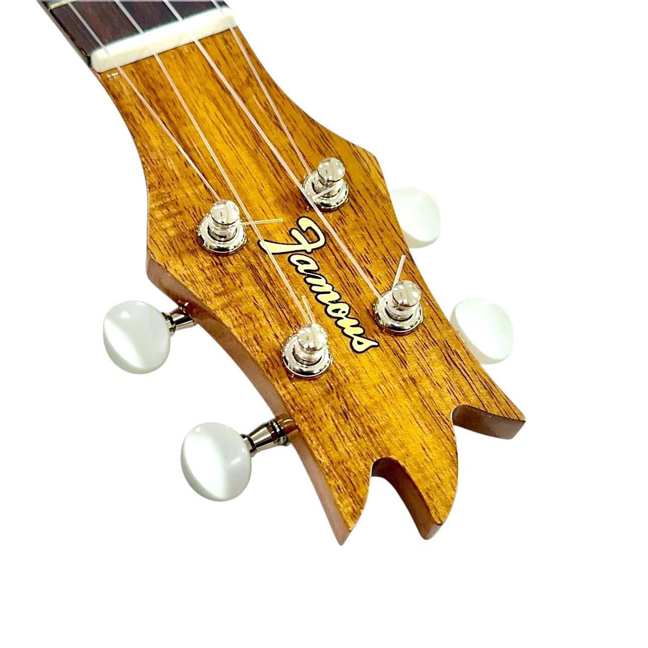 ��Famous��FS-4PG ���ץ�Υ�����