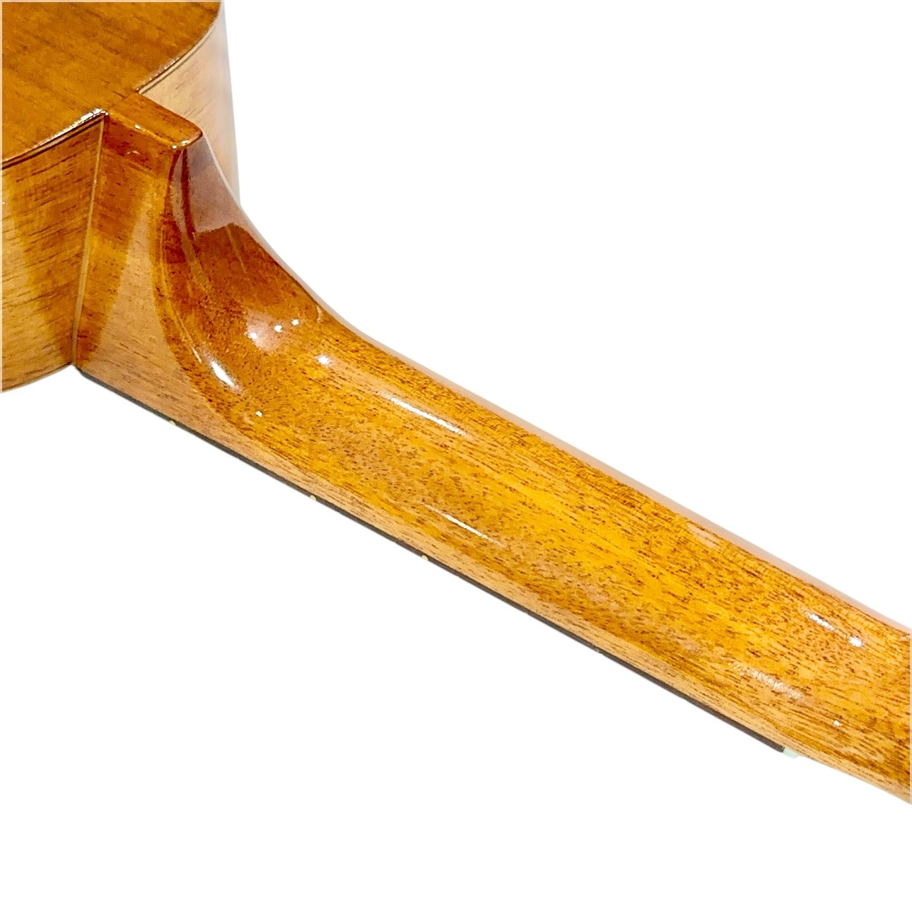 ��Famous��FS-4PG ���ץ�Υ�����