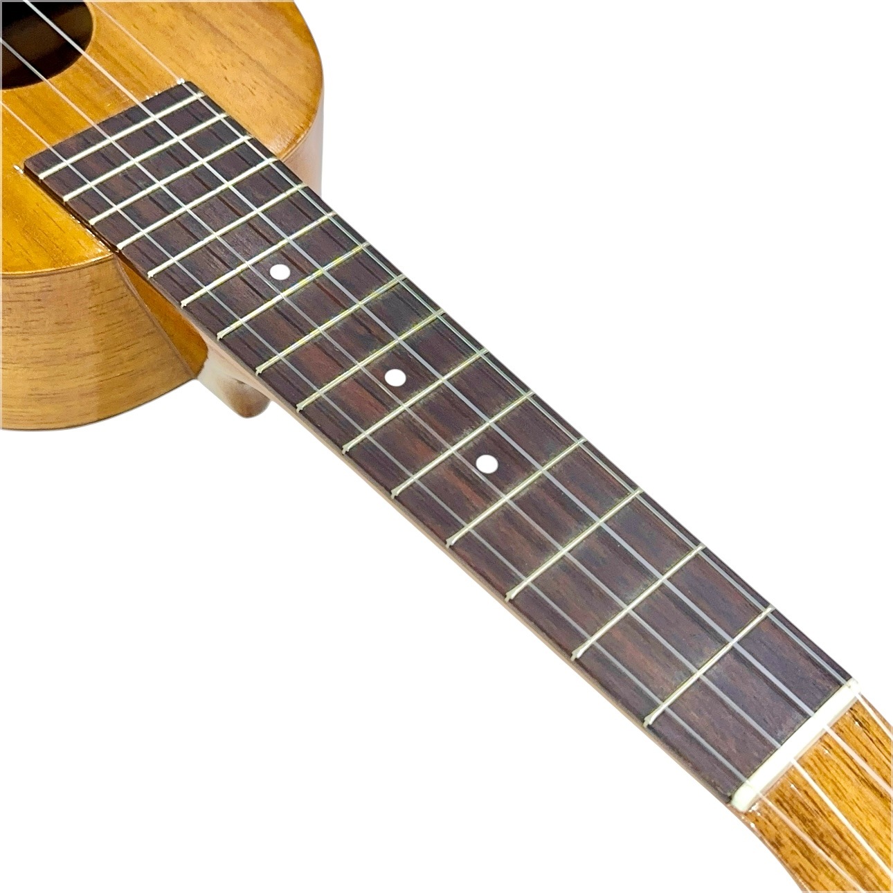 ��Famous��FS-4PG ���ץ�Υ�����