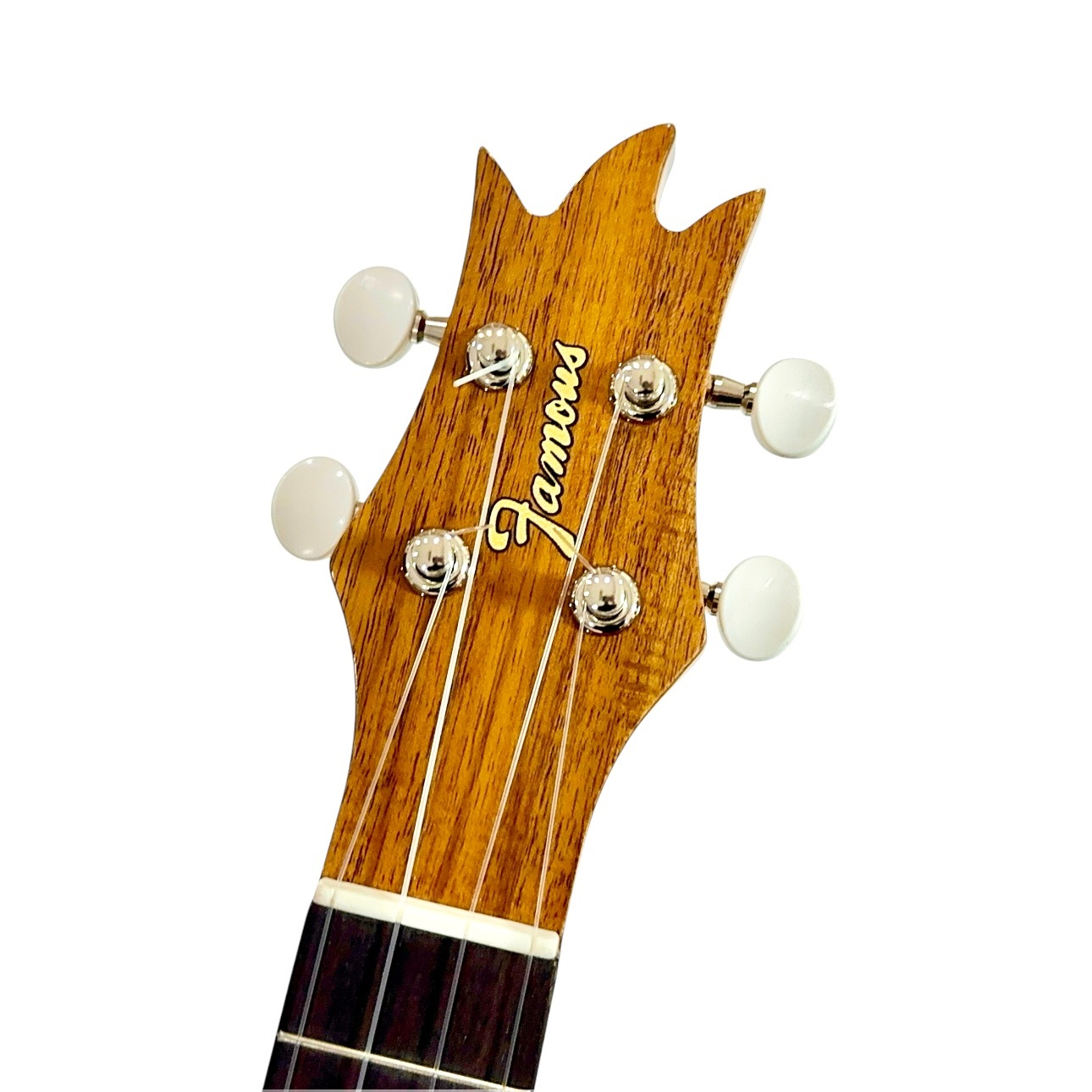 ��Famous��FS-4PG ���ץ�Υ�����