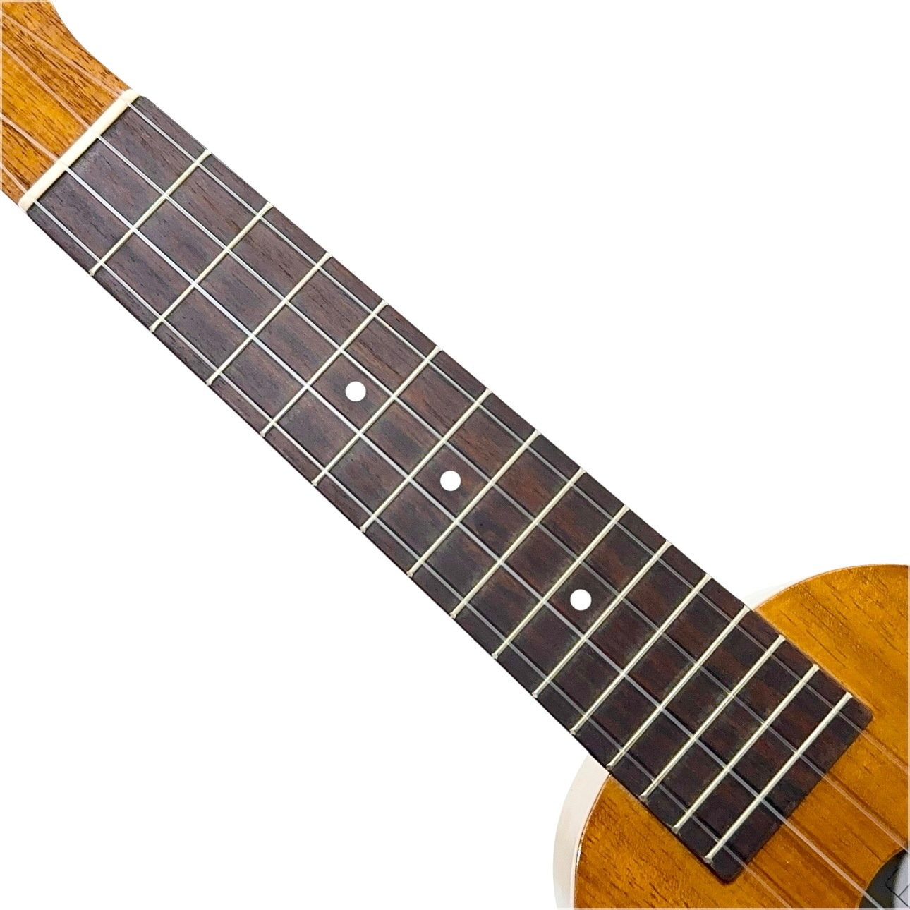 ��Famous��FS-4PG ���ץ�Υ�����