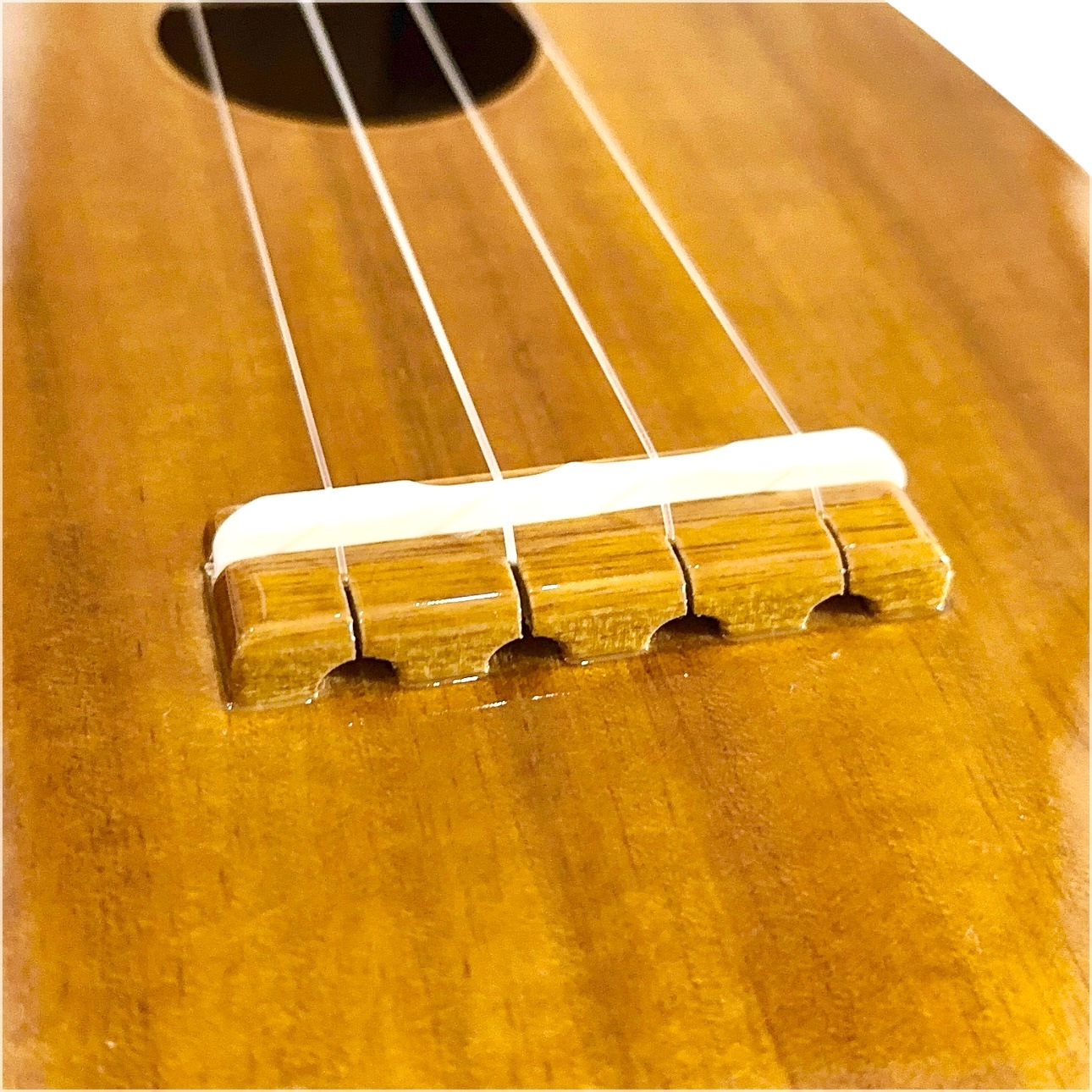 ��Famous��FS-4PG ���ץ�Υ�����