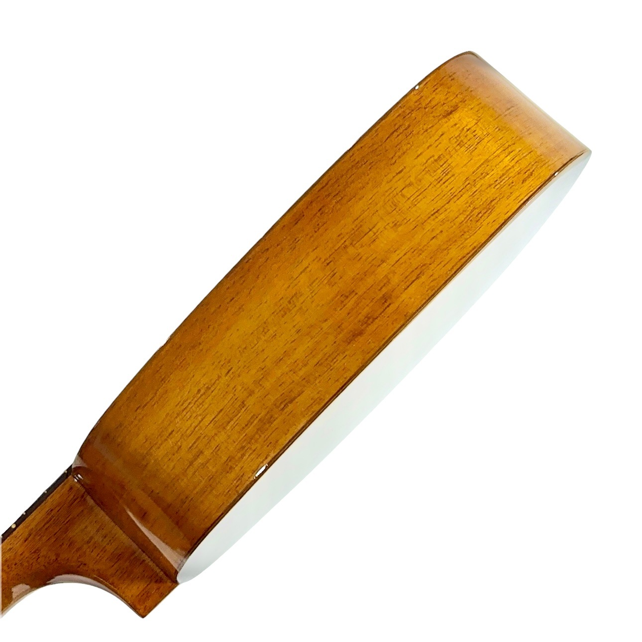 ��Famous��FS-4PG ���ץ�Υ�����