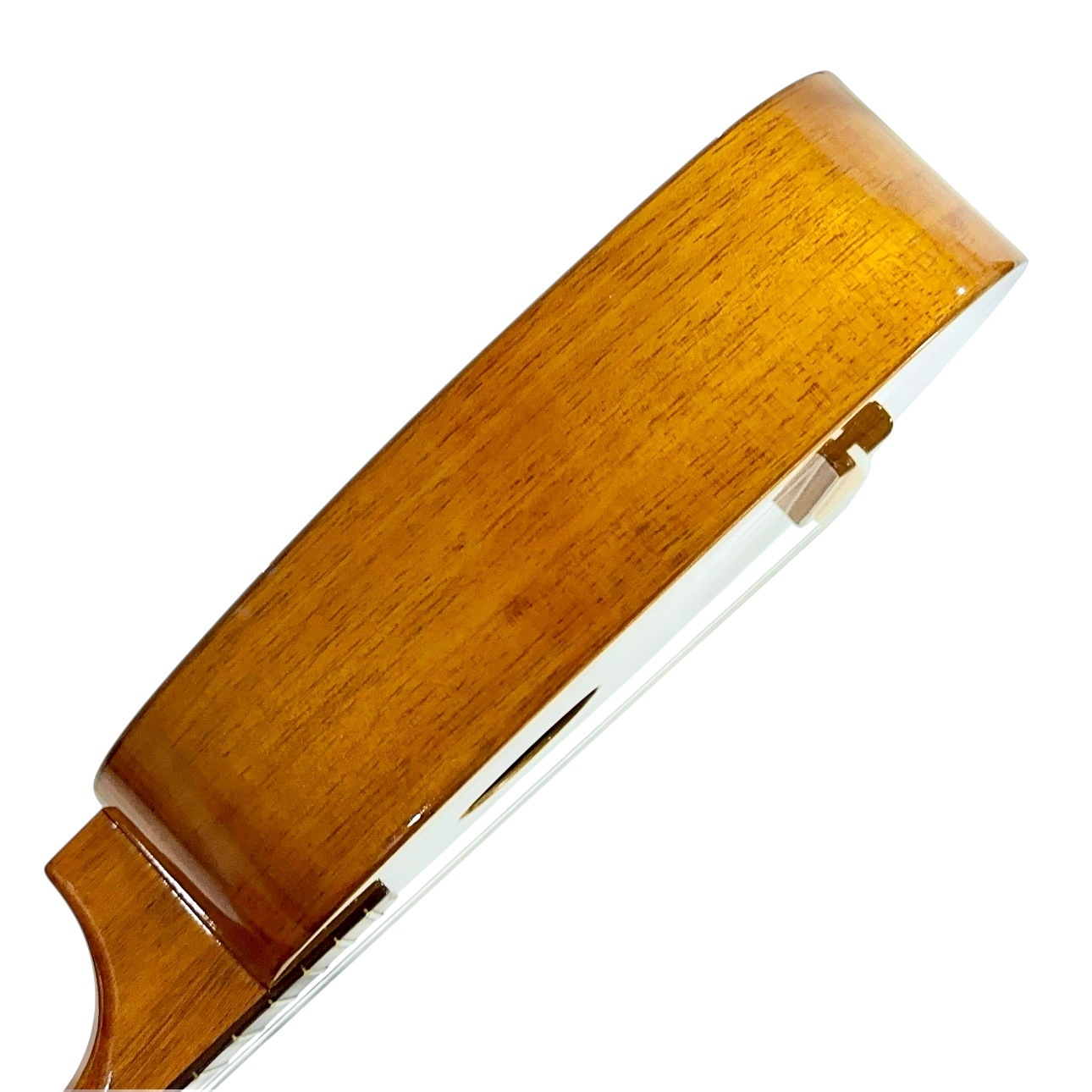 ��Famous��FS-4PG ���ץ�Υ�����